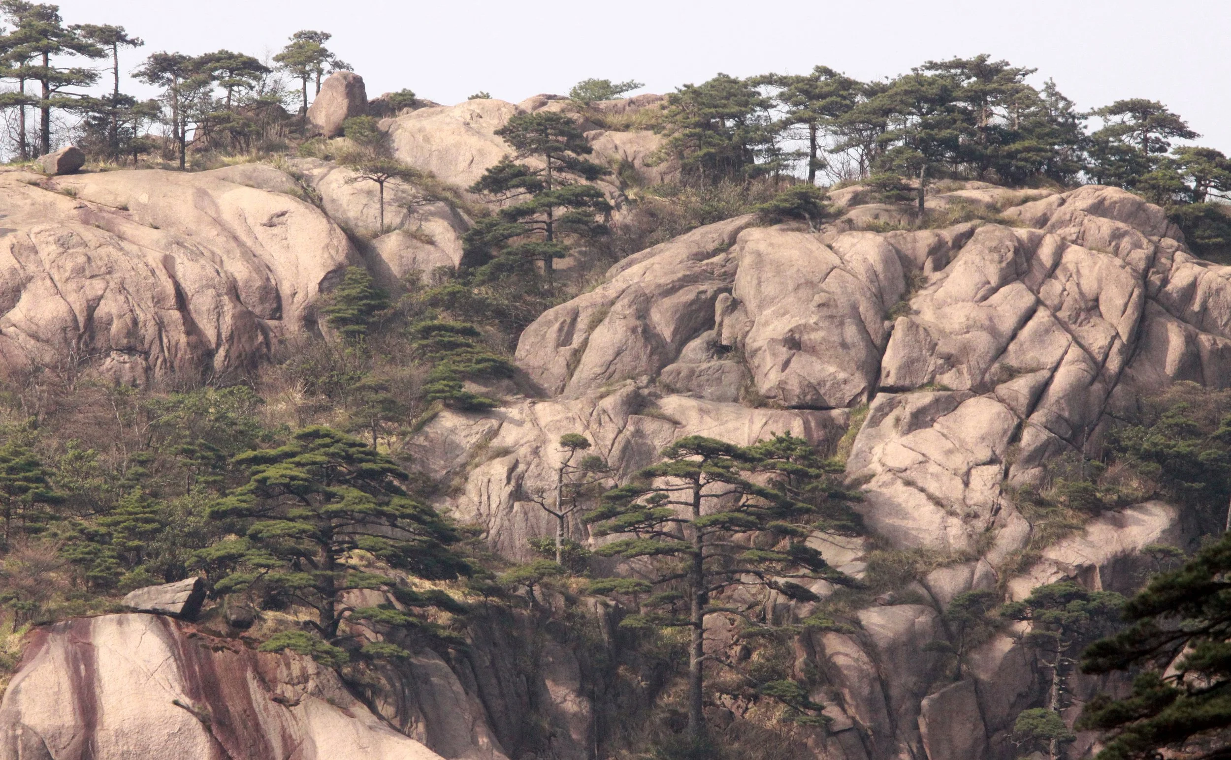 HUANGSHAN NATIONAL PARK - ANHUI PROVINCE CHINA (70).JPG