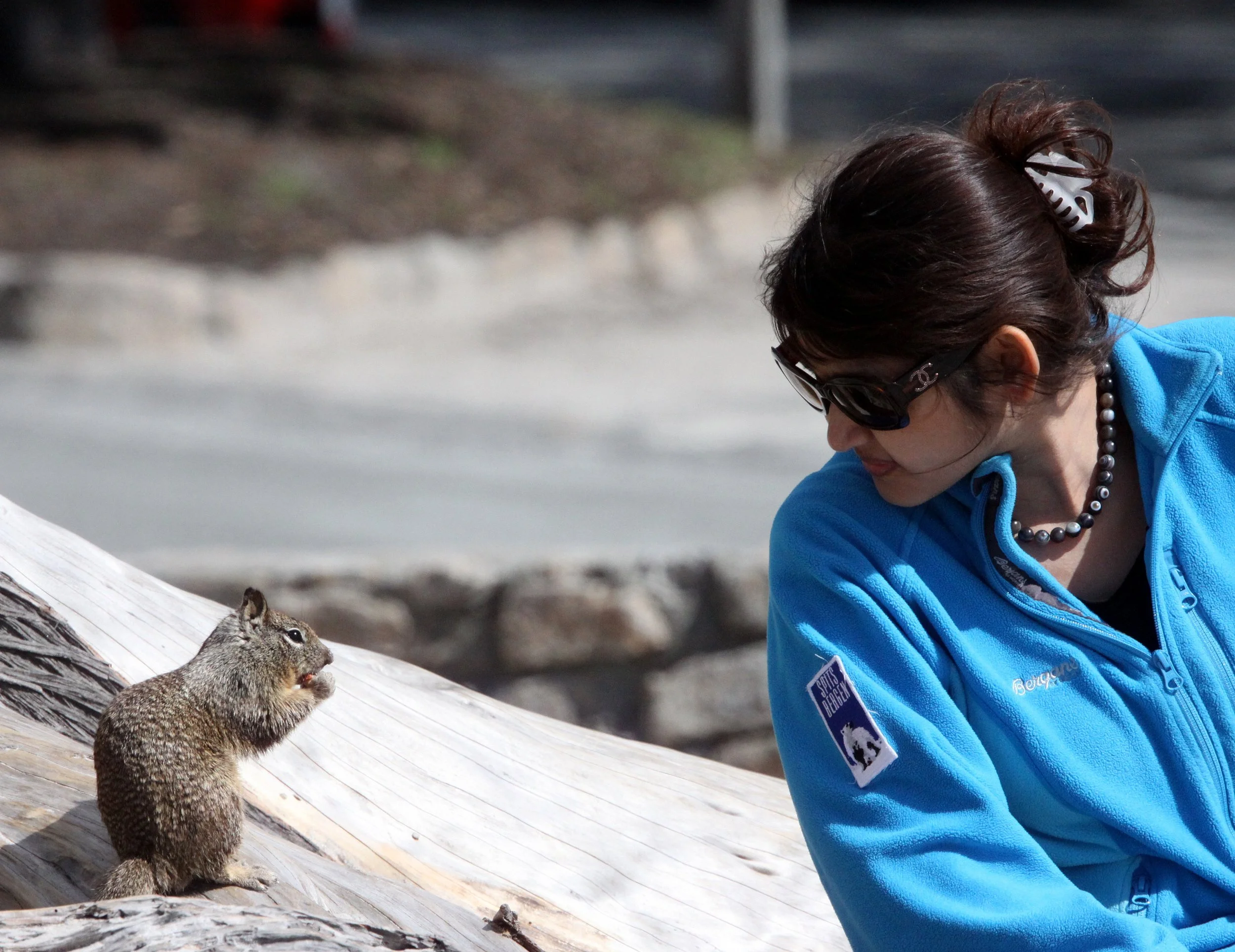 2010-4-1 CARMEL  - ROADTRIP 2010.JPG