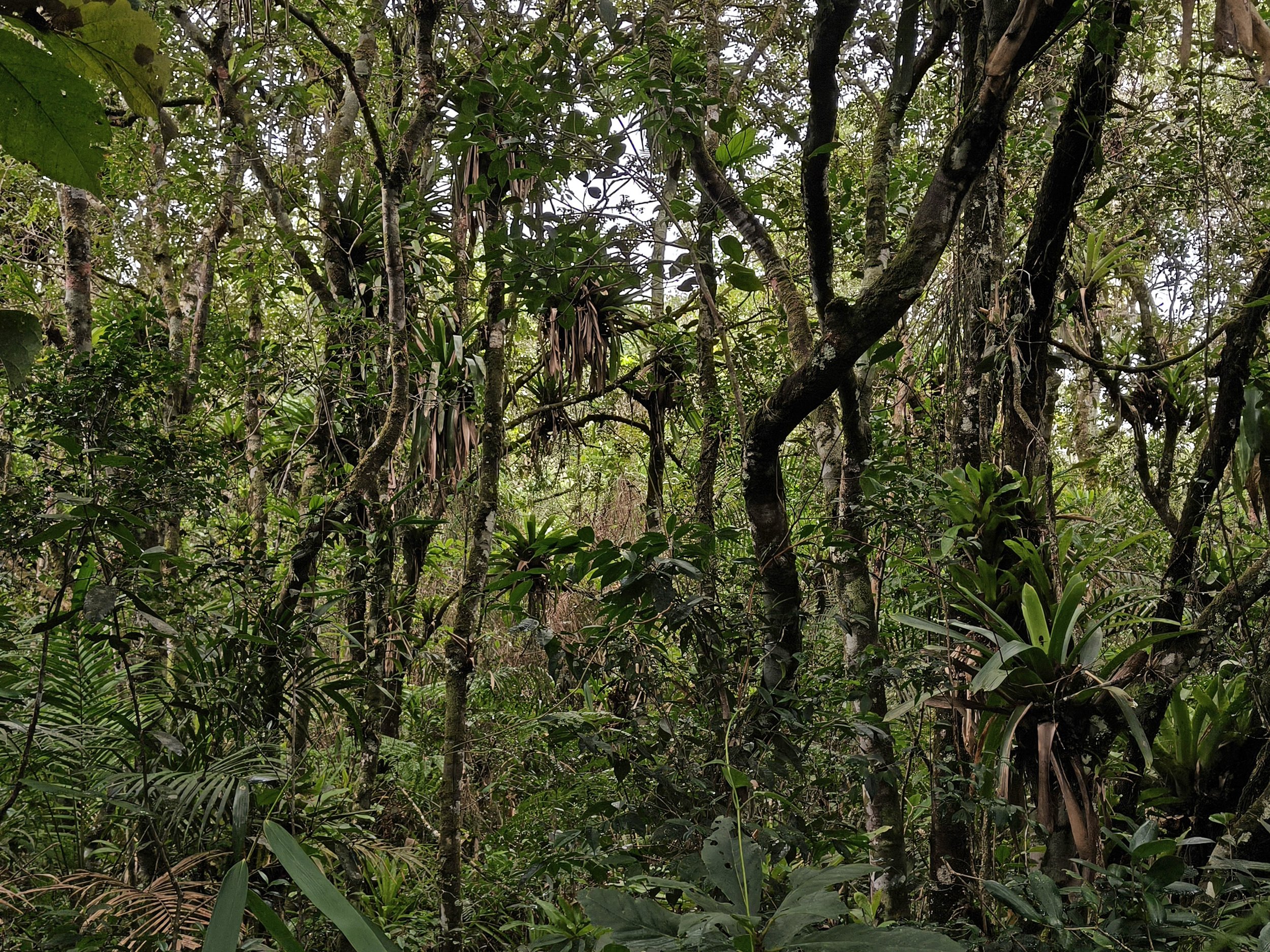 Superagüi National Park