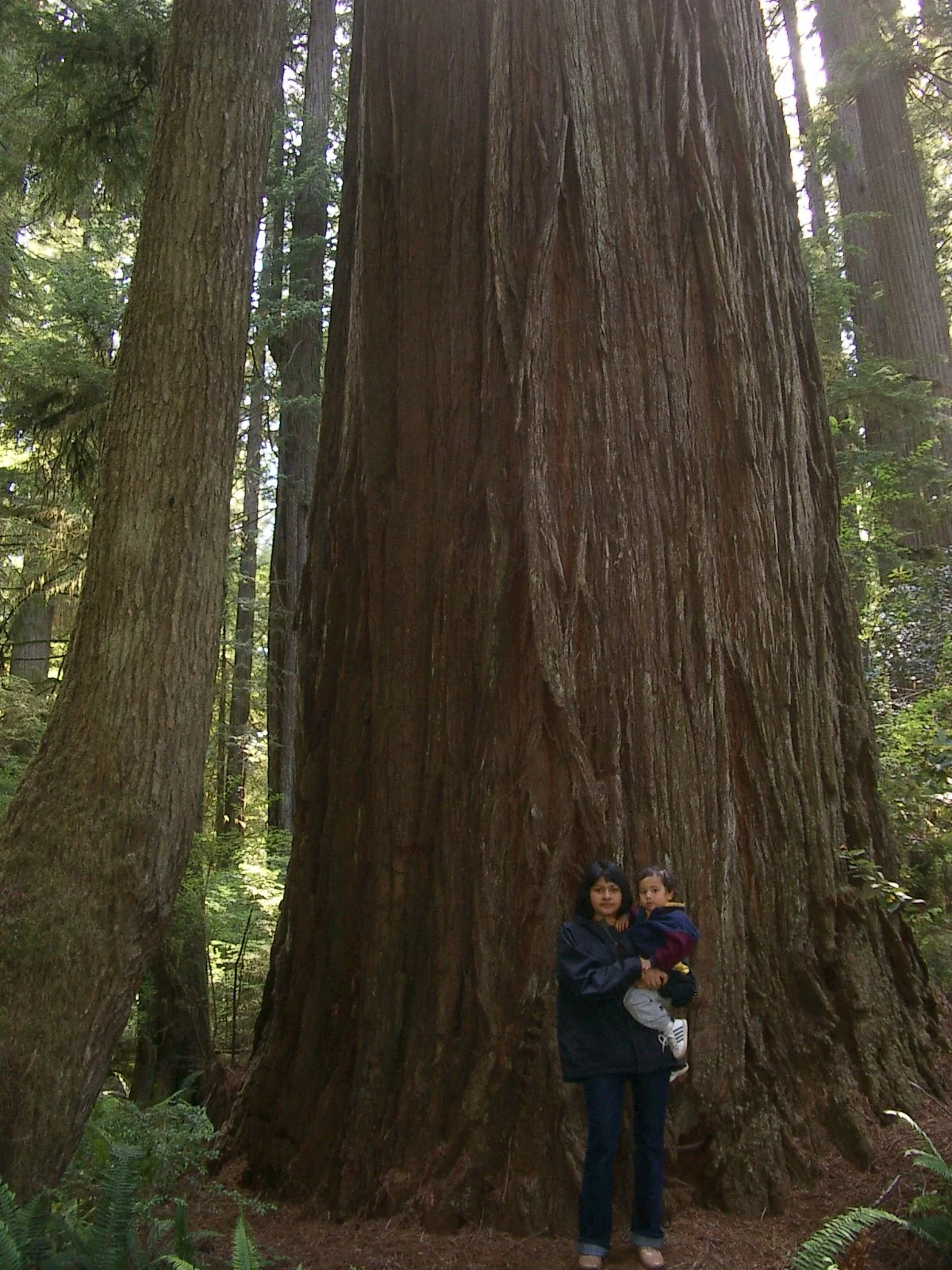 2004-6-12 LARRY AND KATRIS WEDDING IN EUREKA CALIFORNIA (26).JPG