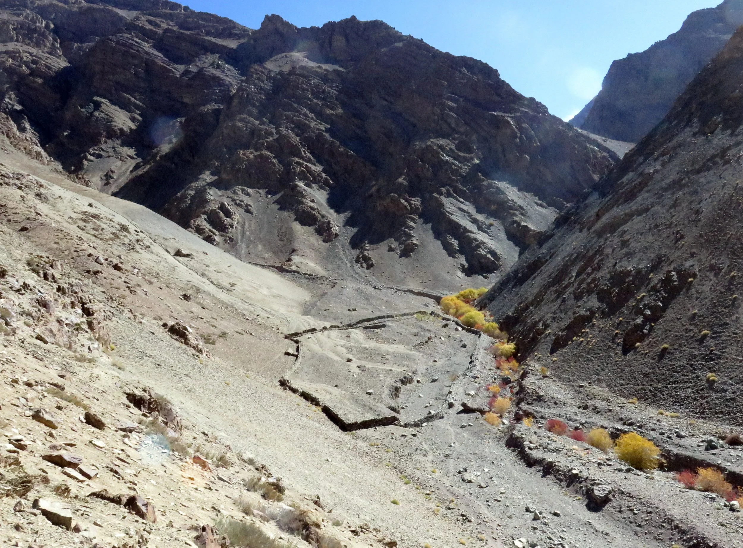 HEMIS NATIONAL PARK - LADAKH INDIA - JAMMU & KASHMIR NEAR RUMBAK VILLAGE (734).JPG