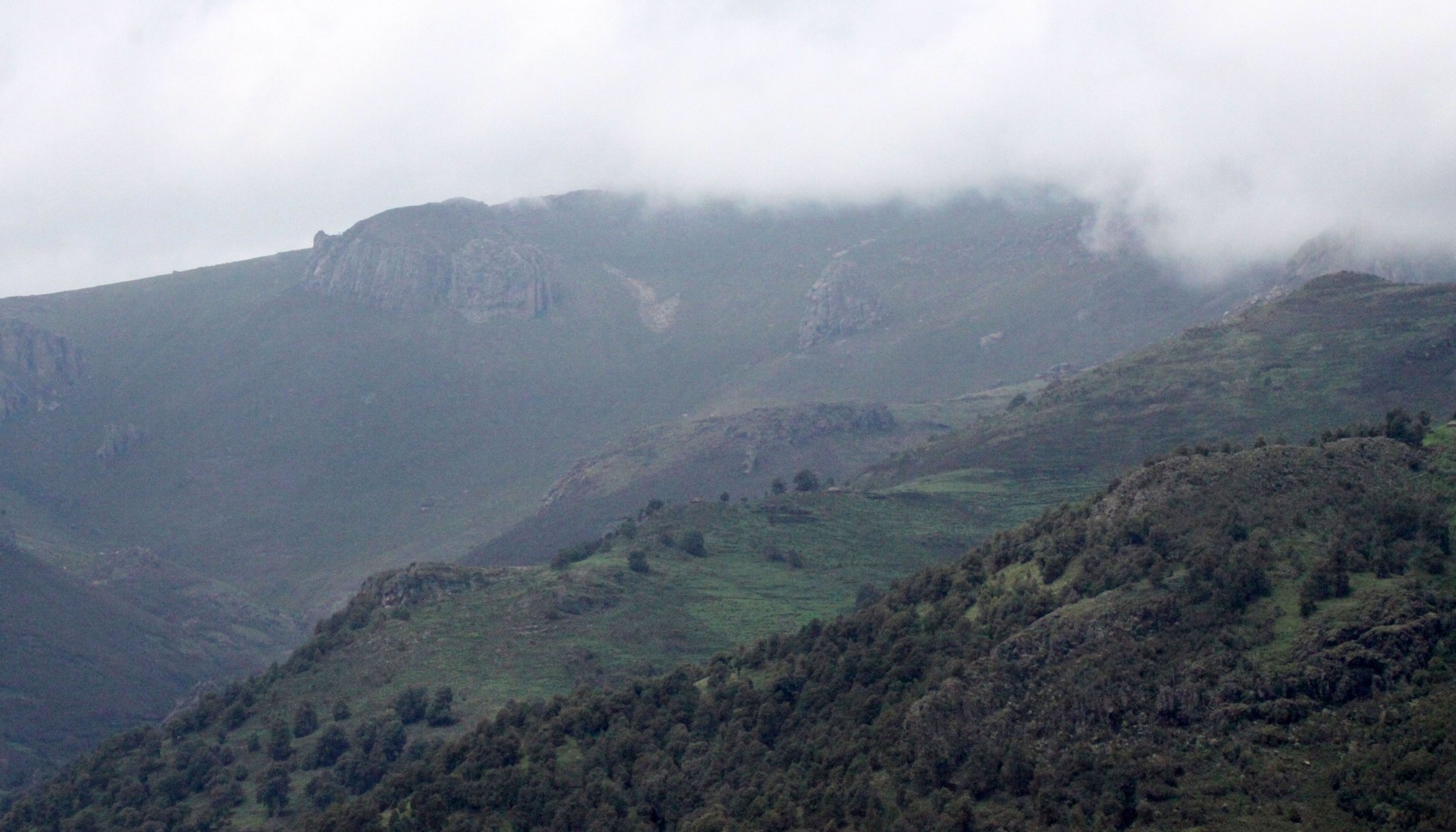 BALE MOUNTAINS NATIONAL PARK ETHIOPIA (20).JPG