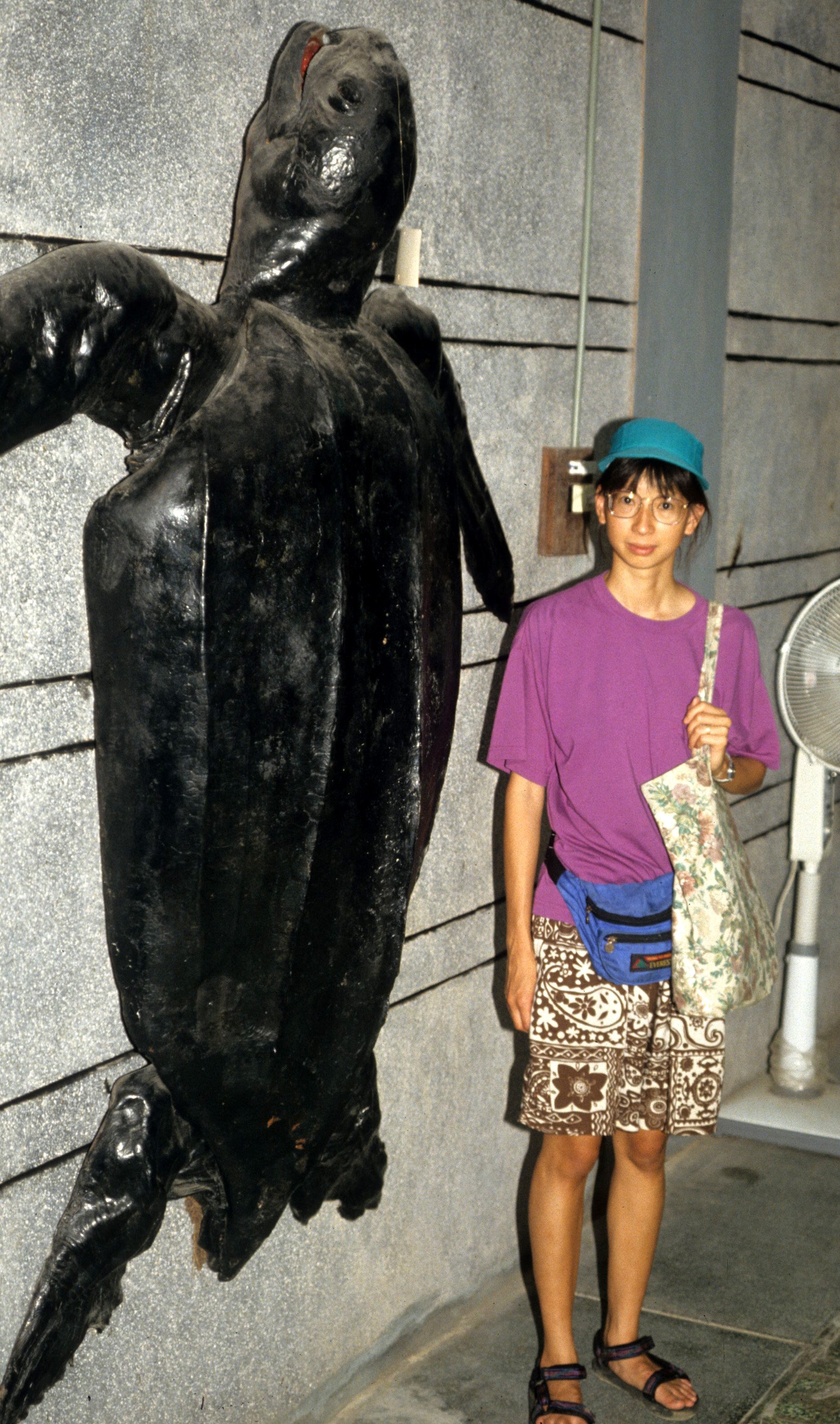 VIET NAM - ANIMAL SPECIMENS (13).jpg