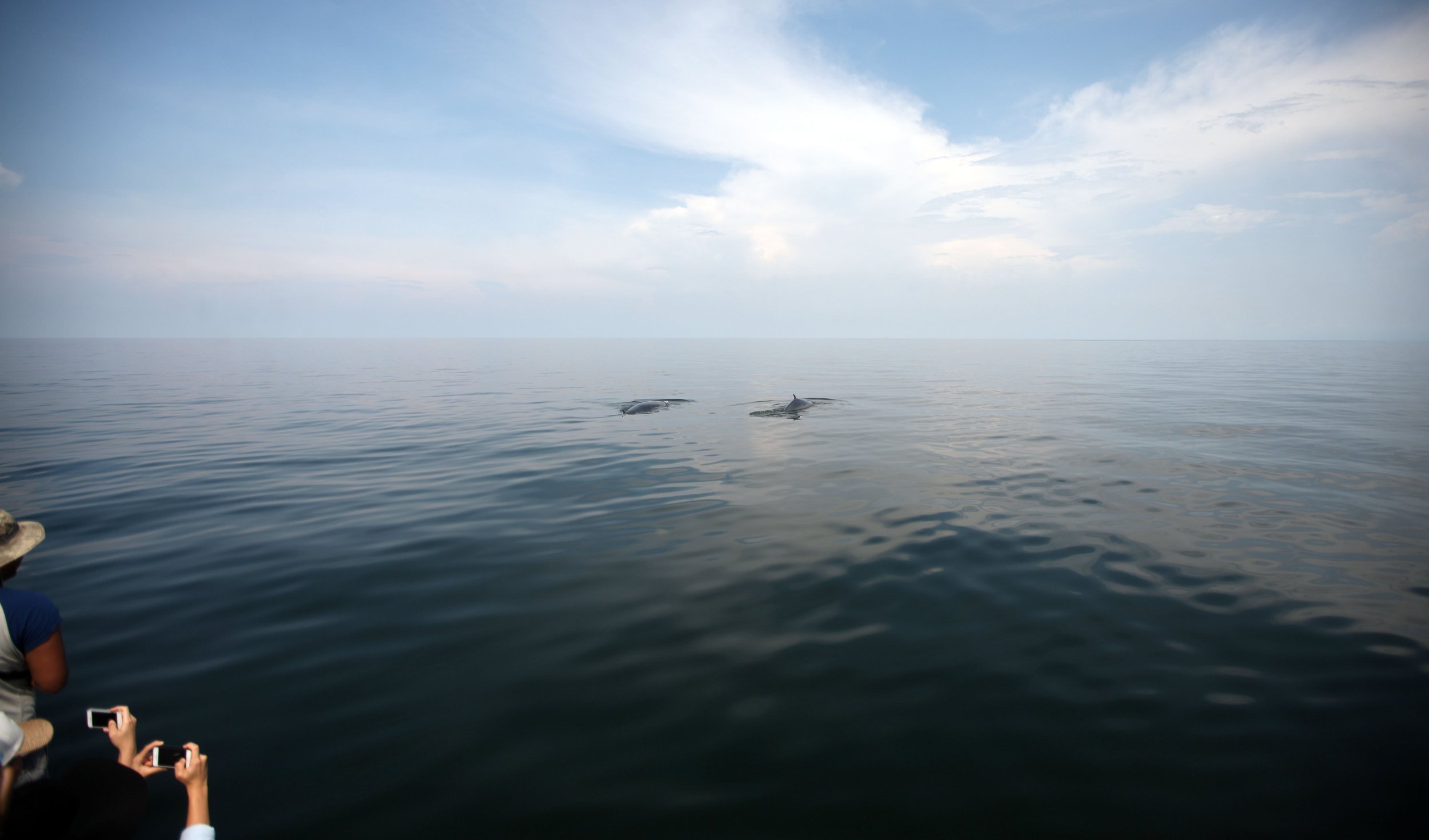 2014 Amphawa Trip to See Whales from Baan Taboon (67).JPG