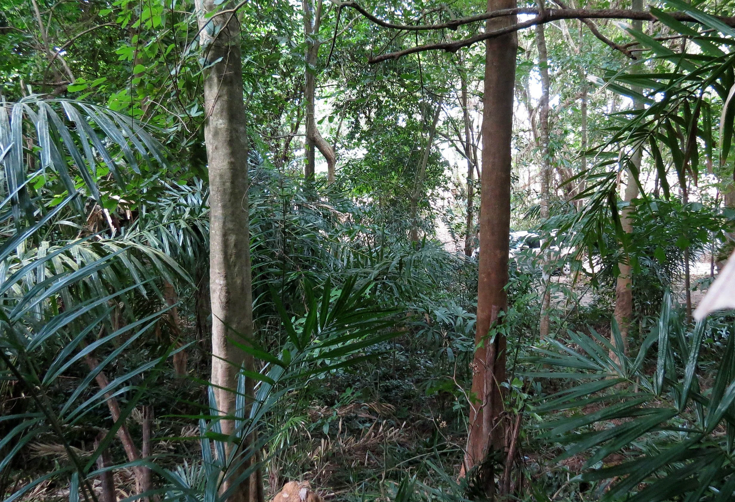 2014 Koh Lanta Build (104).JPG