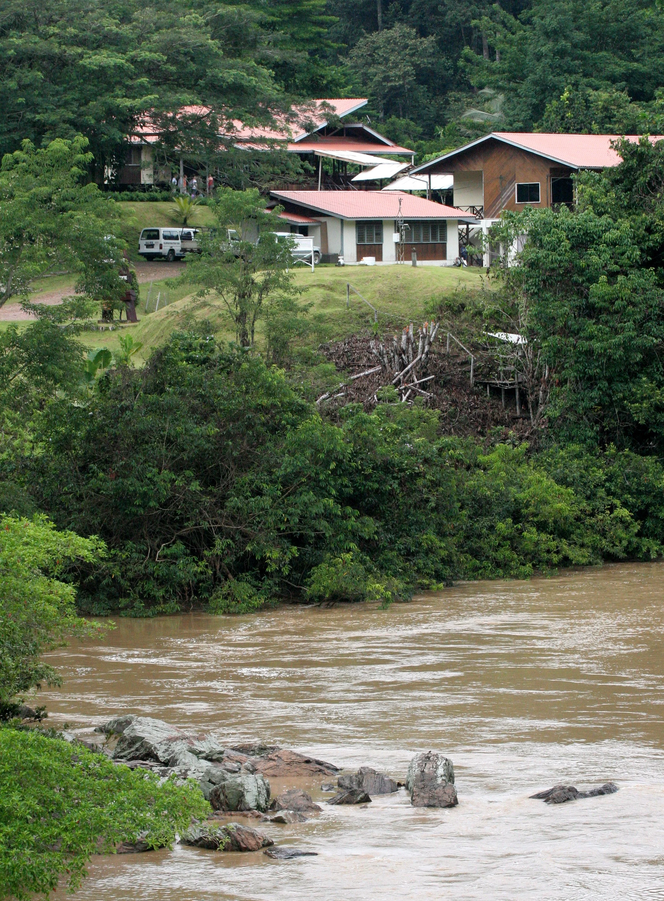 DANUM VALLEY BORNEO - DVFC (6).JPG