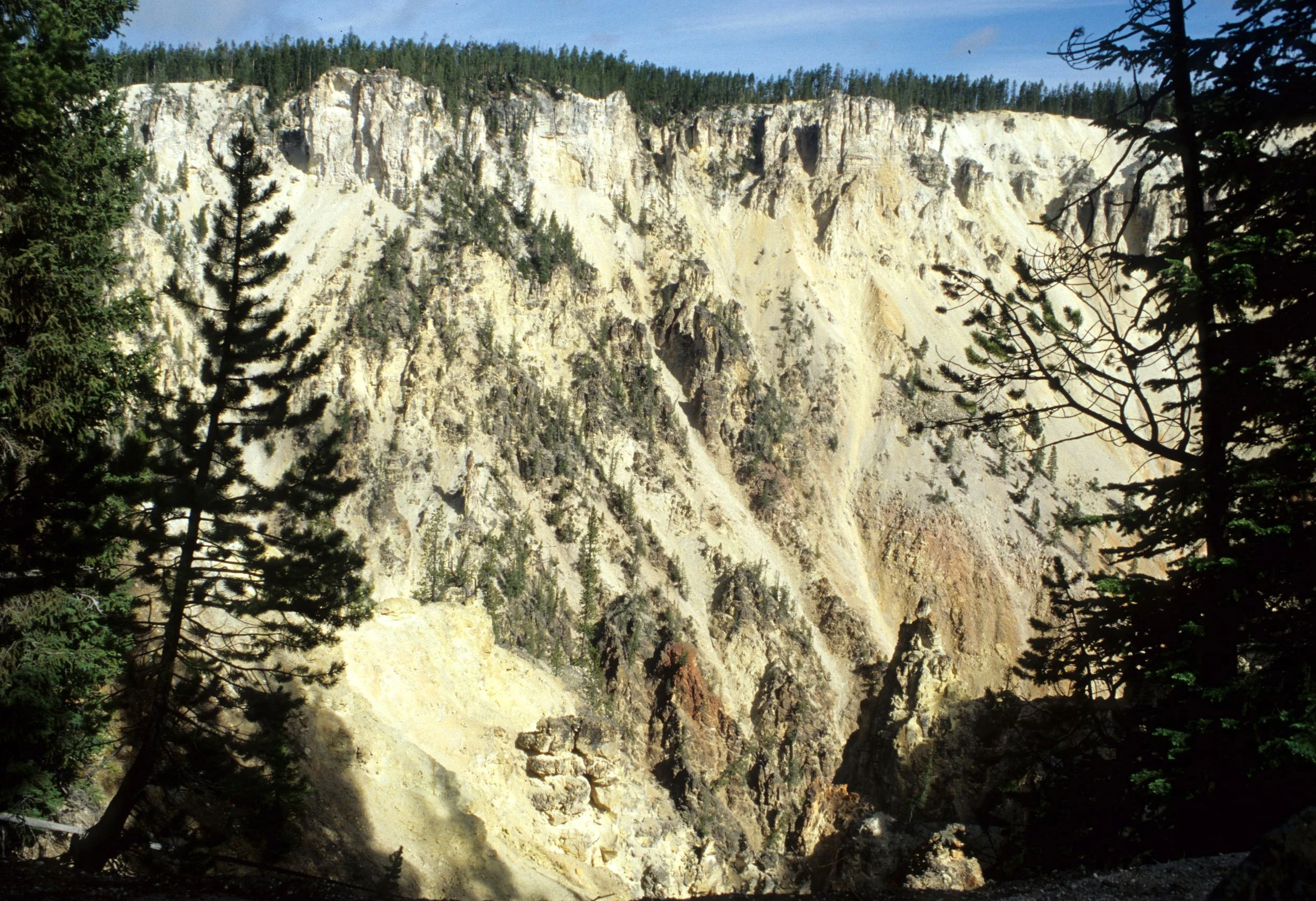 YELLOWSTONE - CANYON VIEW D.jpg