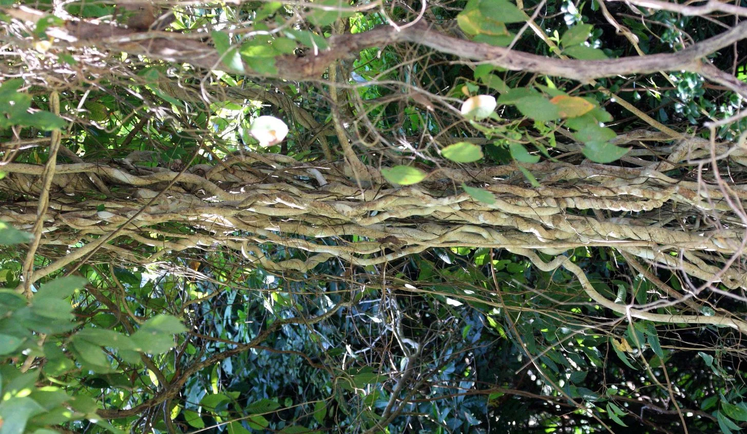 KO LANTA - VIEW FROM PROPERTY - 2009 (12).JPG