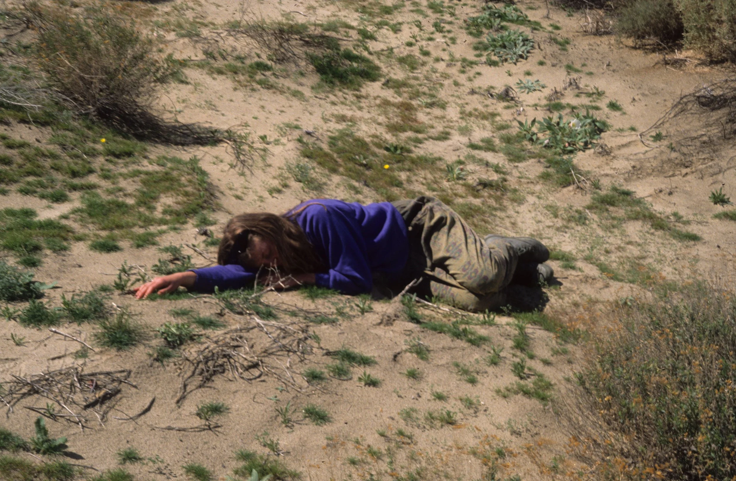 ANZA BORREGO - SLEEPING IN THE DESERT.jpg