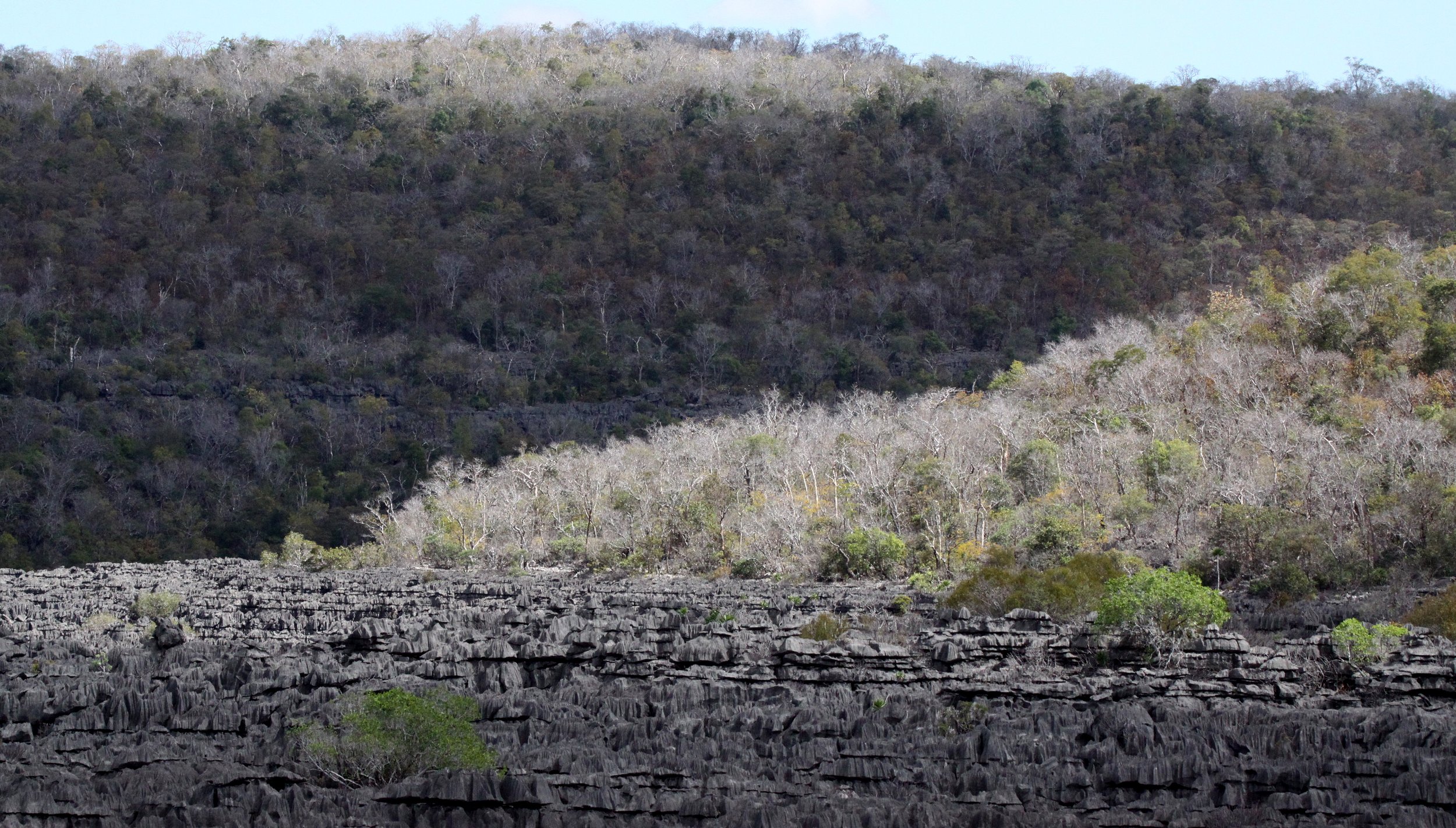 ANKARANA NATIONAL PARK MADAGASCAR - TSINGY FOREST (40).JPG
