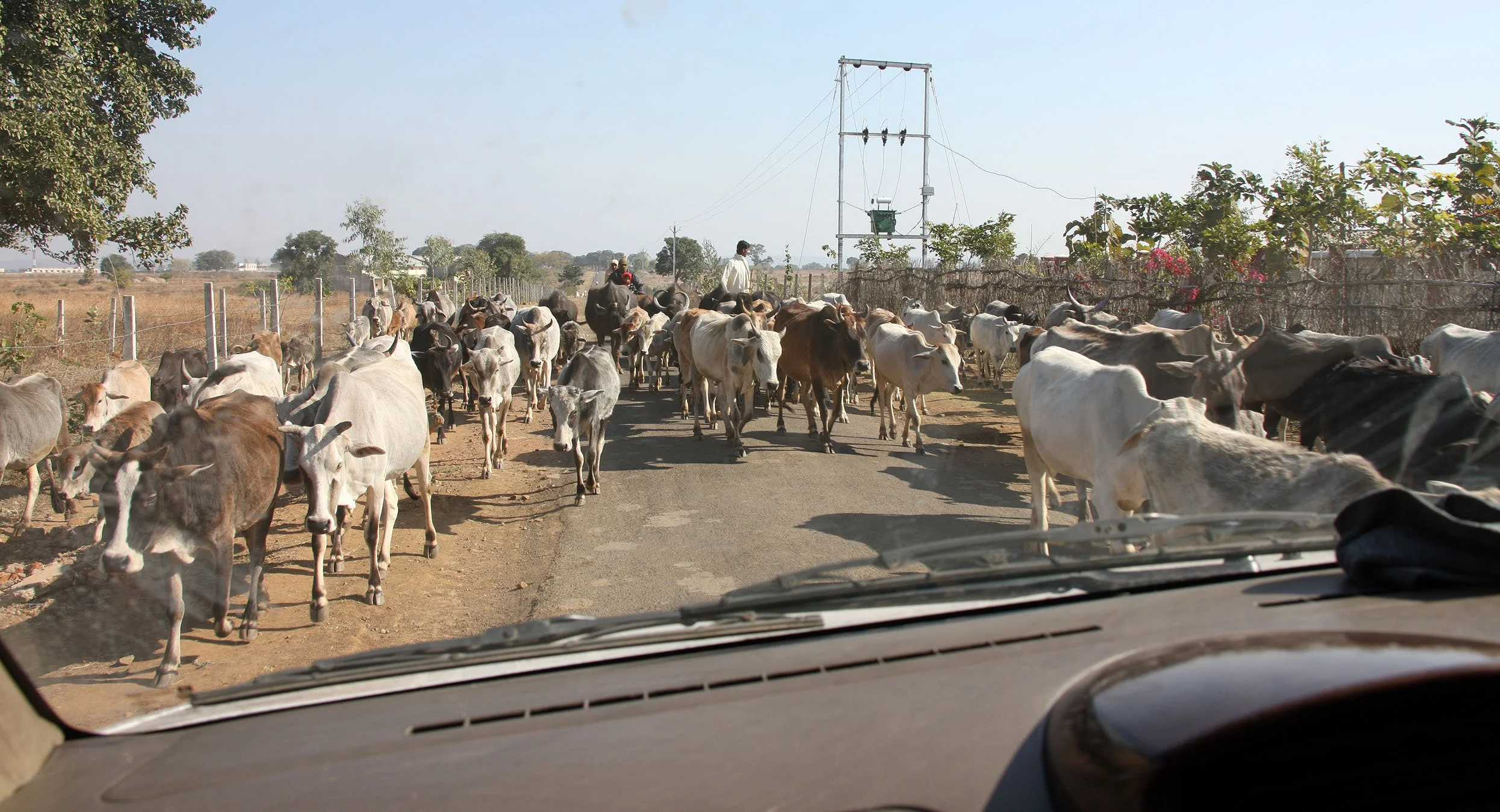 MADHYA PRADESH - DRIVE TO BANDHAVGAR (5).JPG