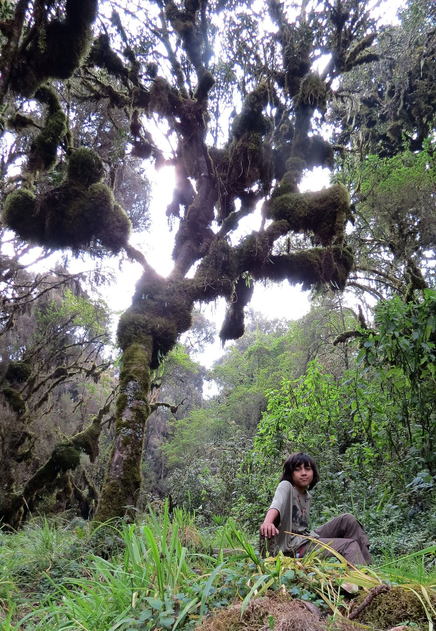 RWENZORI NATIONAL PARK UGANDA (151).JPG