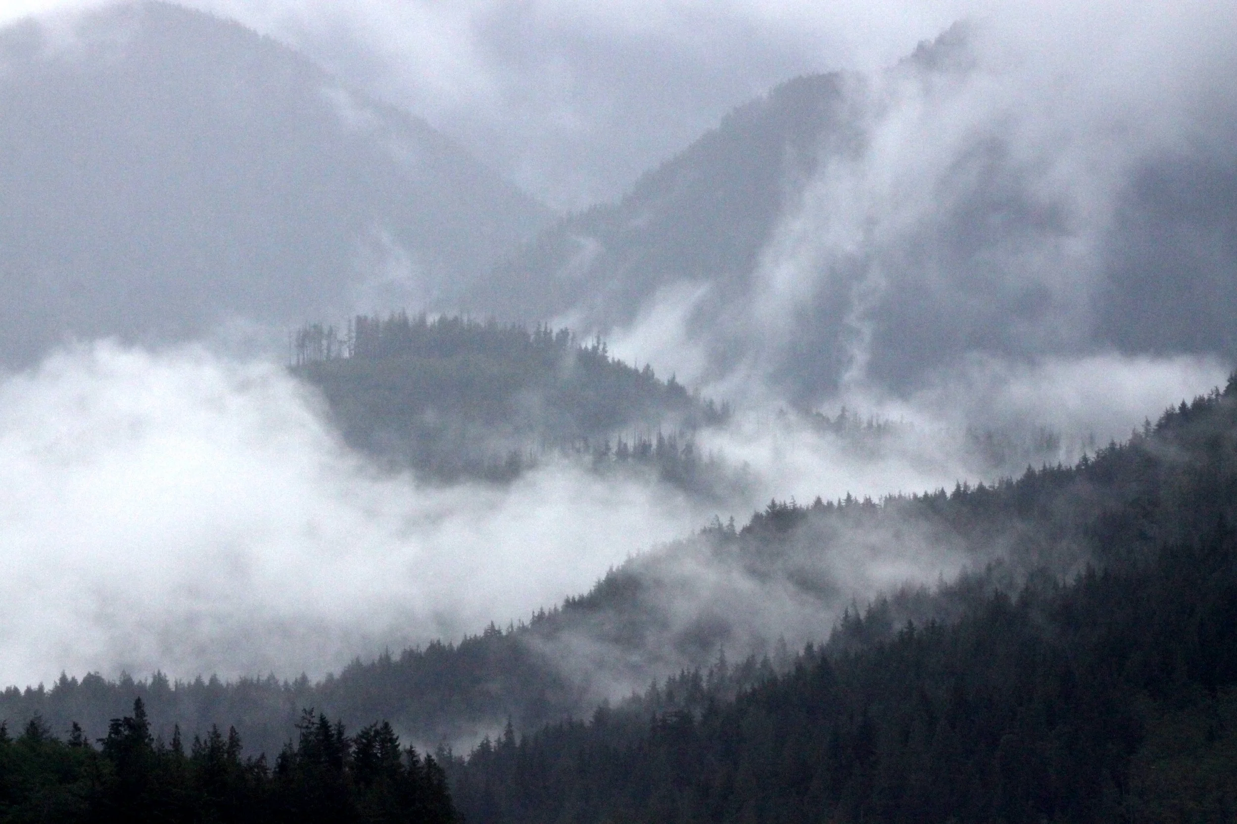 KNIGHT'S INLET BRISTISH COLUMBIA - VIEW FROM MINSTREL ISLAND (3).JPG