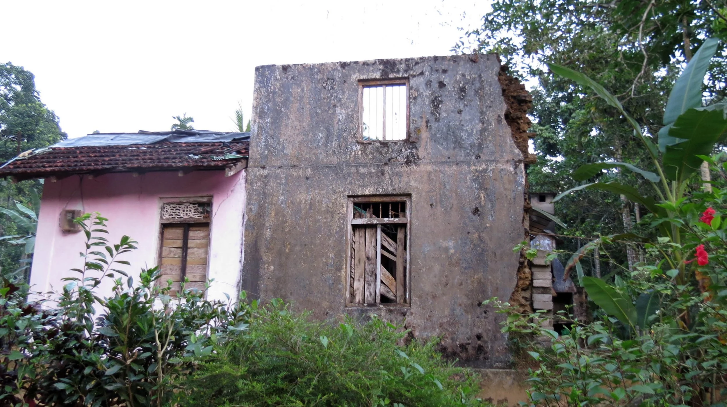 KITULGALA FOREST PRESERVE SRI LANKA (11).JPG