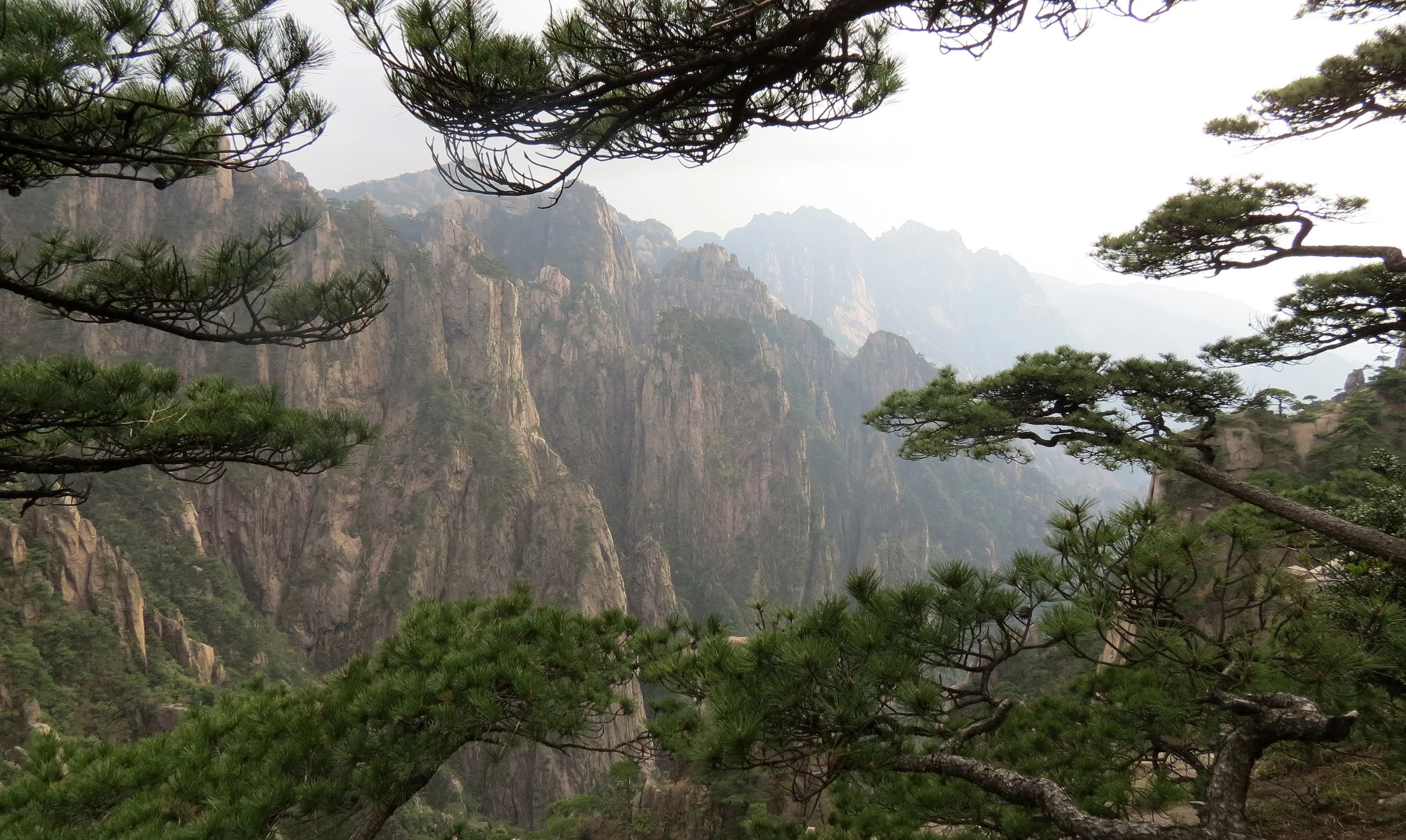 HUANGSHAN NATIONAL PARK - ANHUI PROVINCE CHINA (28).JPG