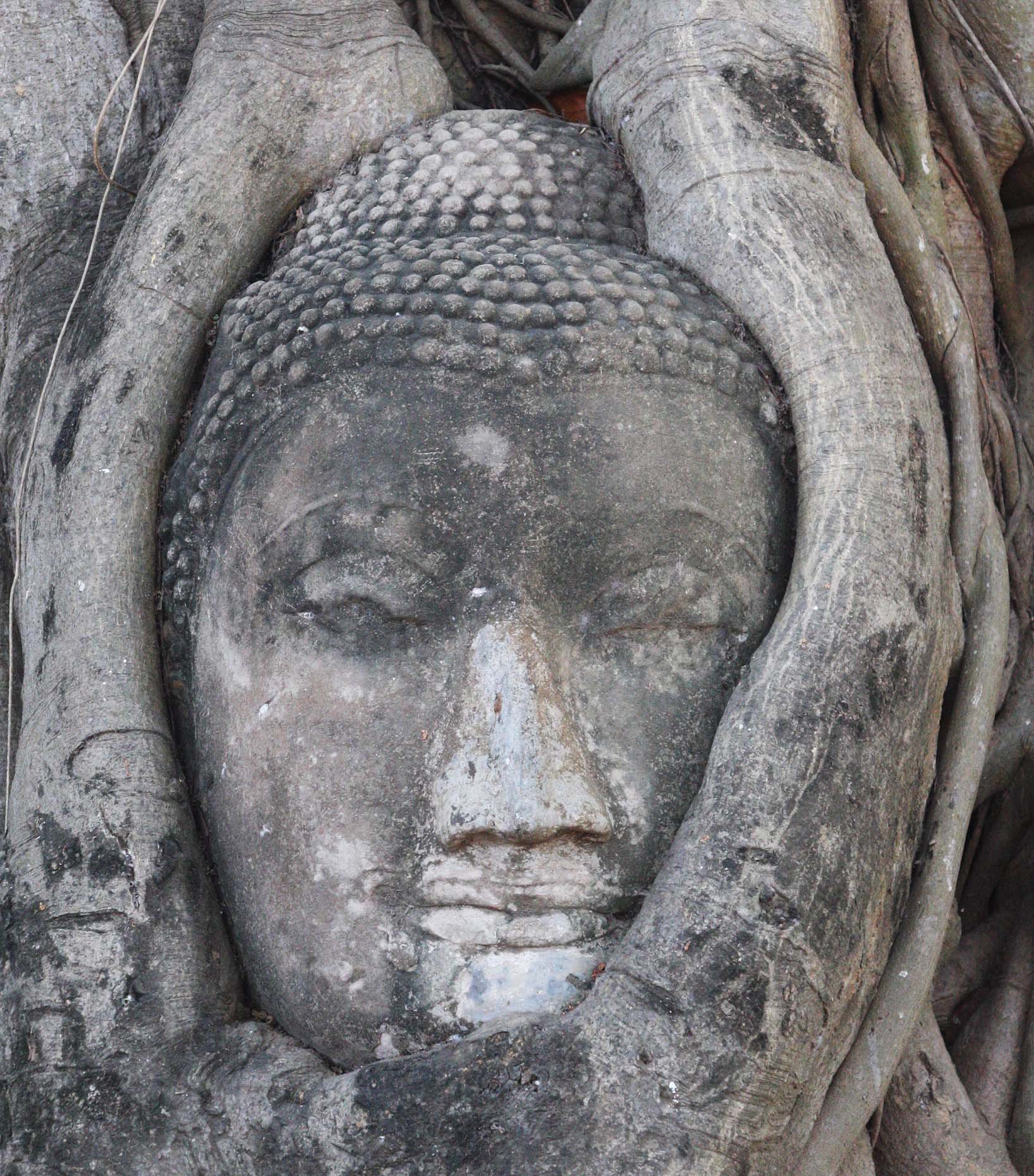 AYUDTHAYA - WAT MAHATAT - CHRISTMAS IN THAILAND TRIP 2008.JPG