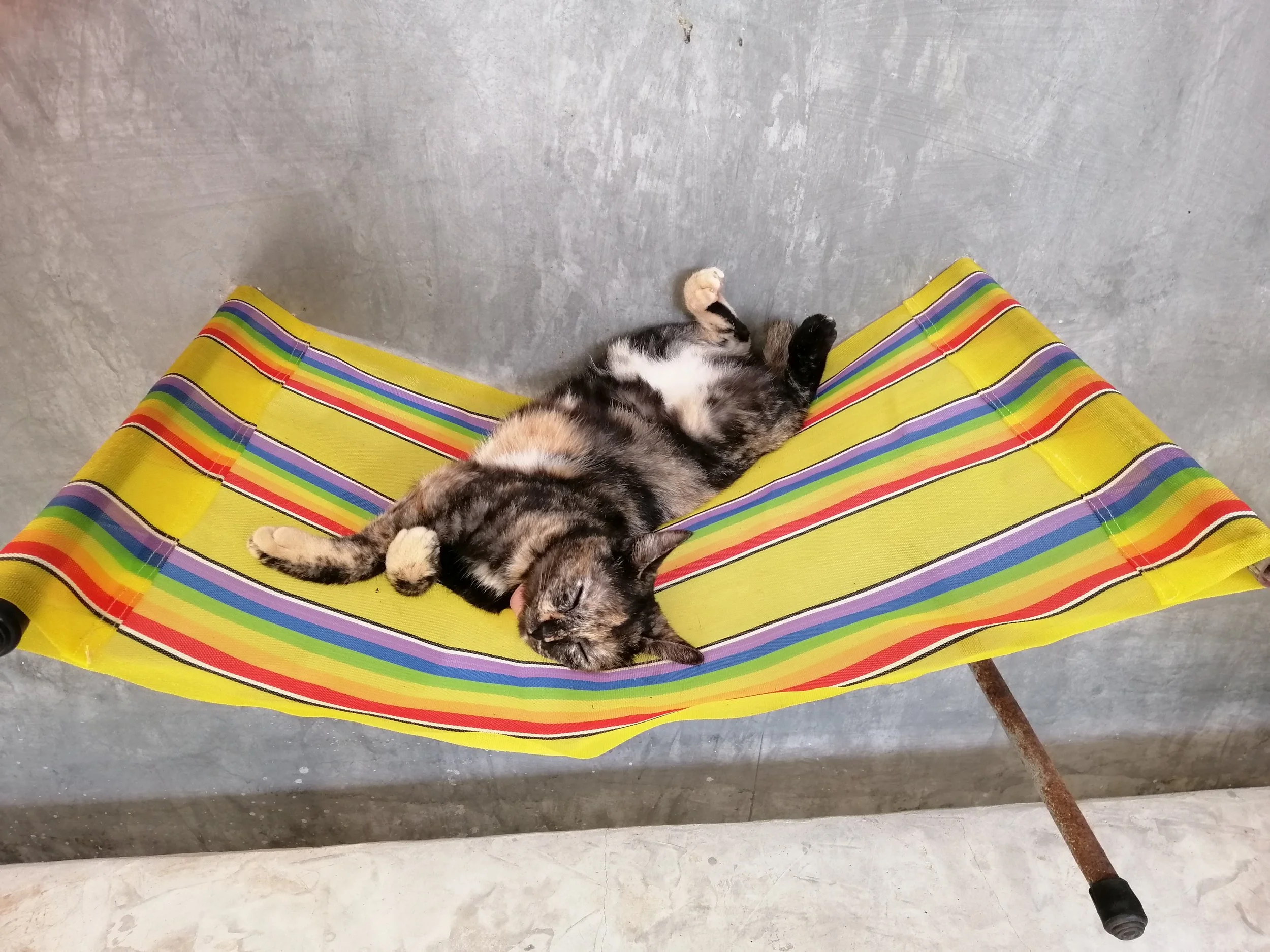 2018 Koh Lanta Misc  (17).jpg