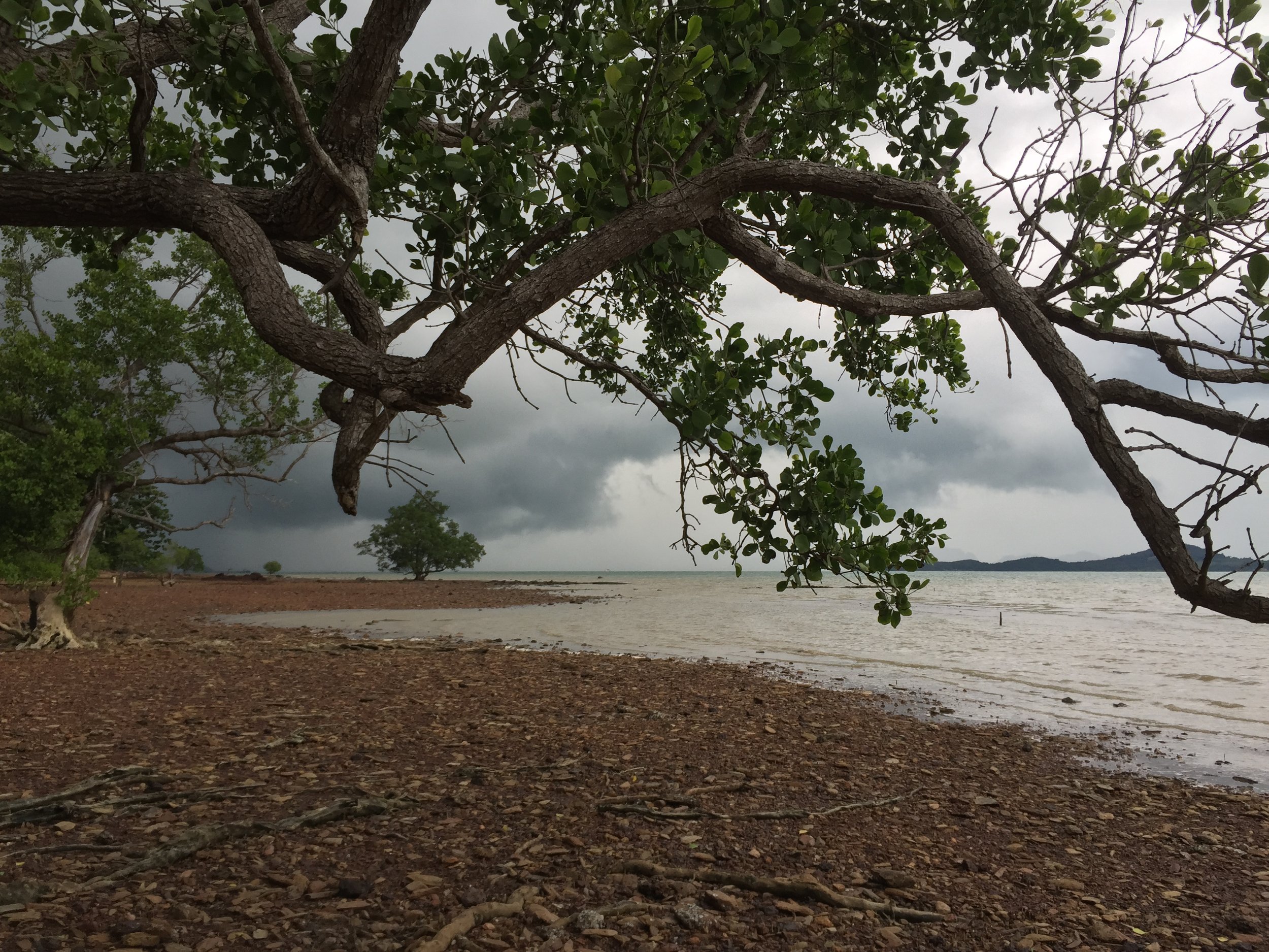 2015 Koh Lanta Garden & Nature (216).JPG