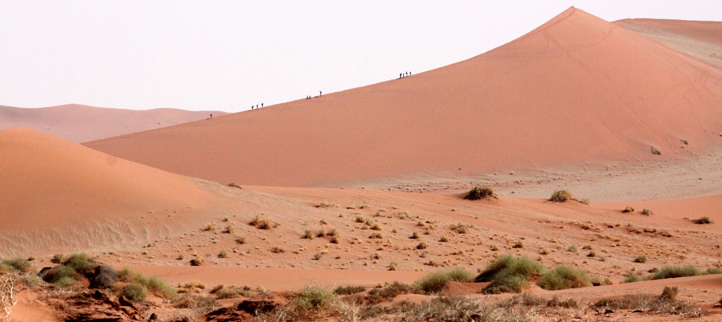 SOSSUSVLEI, NAMIB NAUKLUFT NATIONAL PARK, NAMIBIA (55).JPG
