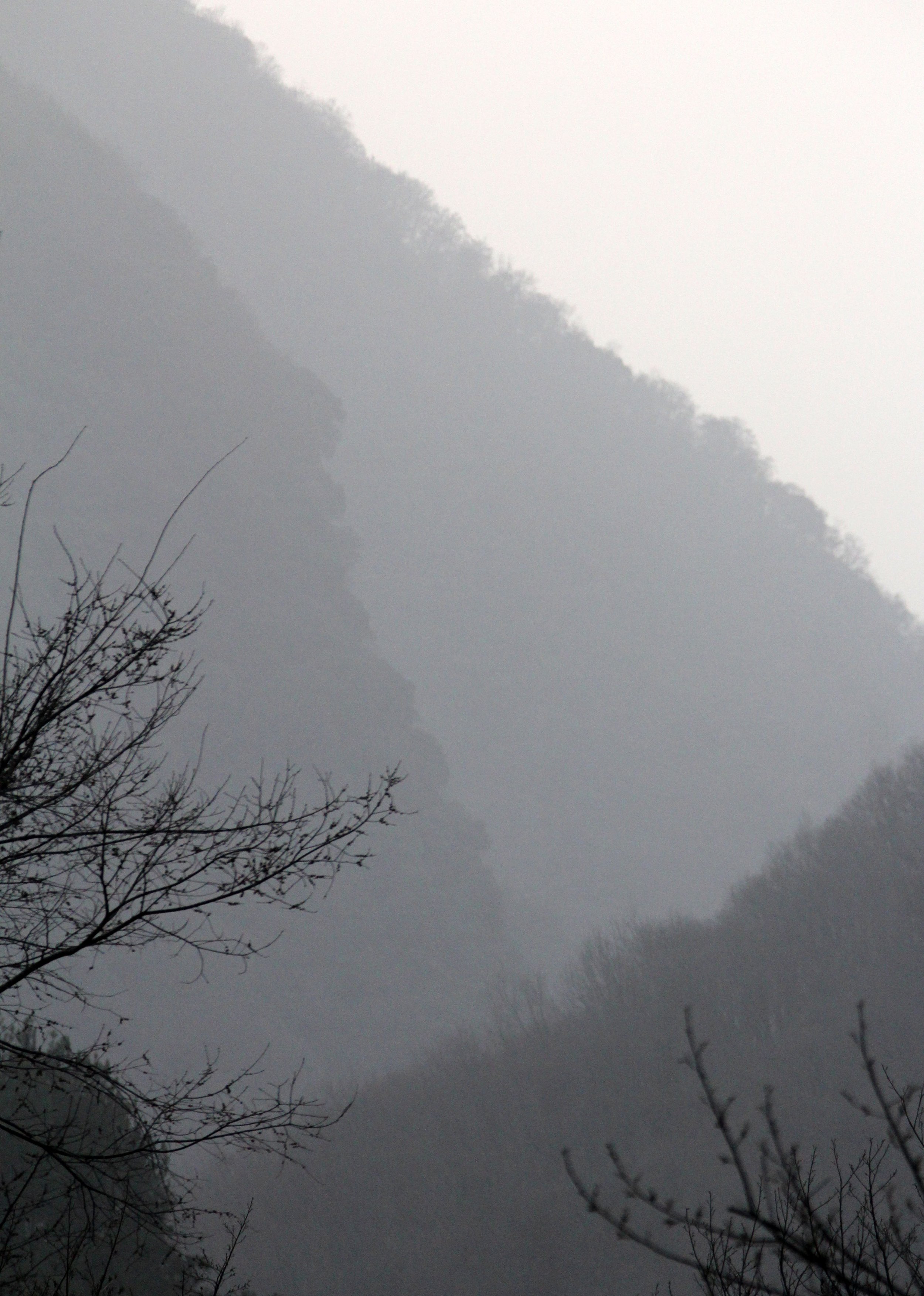 TANGJIAHE NATURE RESERVE, SICHUAN CHINA (35).JPG
