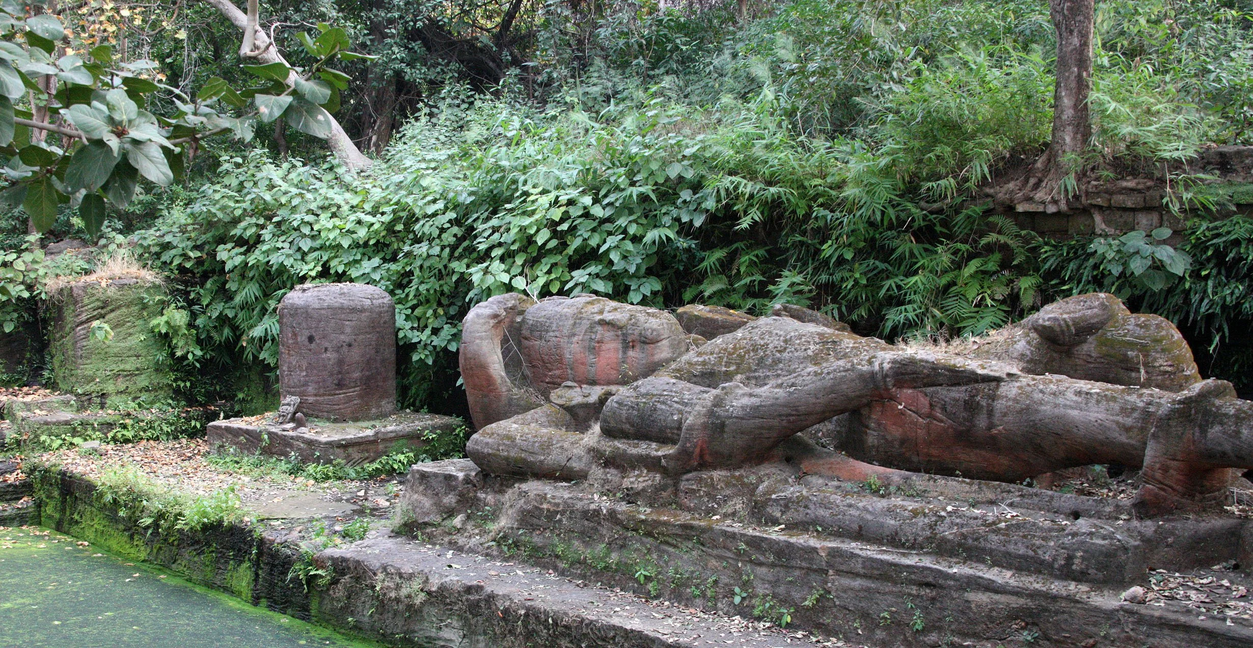 MADHYA PRADESH - BANDHAVGAR NATIONAL PARK MADHYA PRADESH INDIA (19).JPG