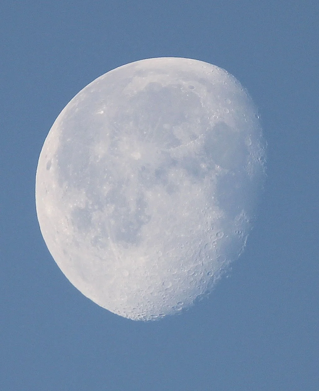 LOP NUR WILD BACTRIAN CAMEL RESERVE - XINJIANG CHINA (111).JPG