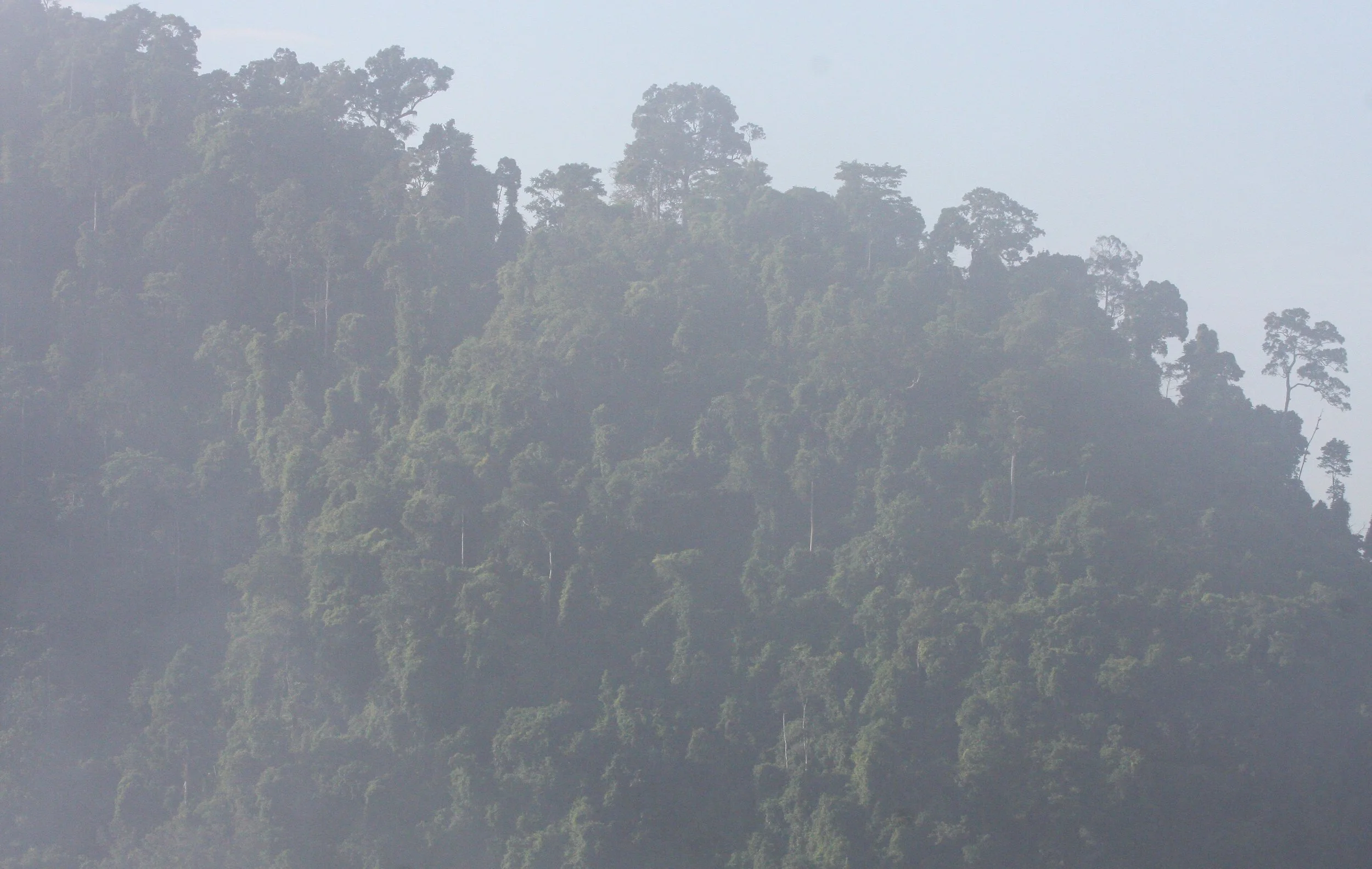 KRUNG CHIN NP - THALE MOG VIEW POINT THAILAND (3).JPG