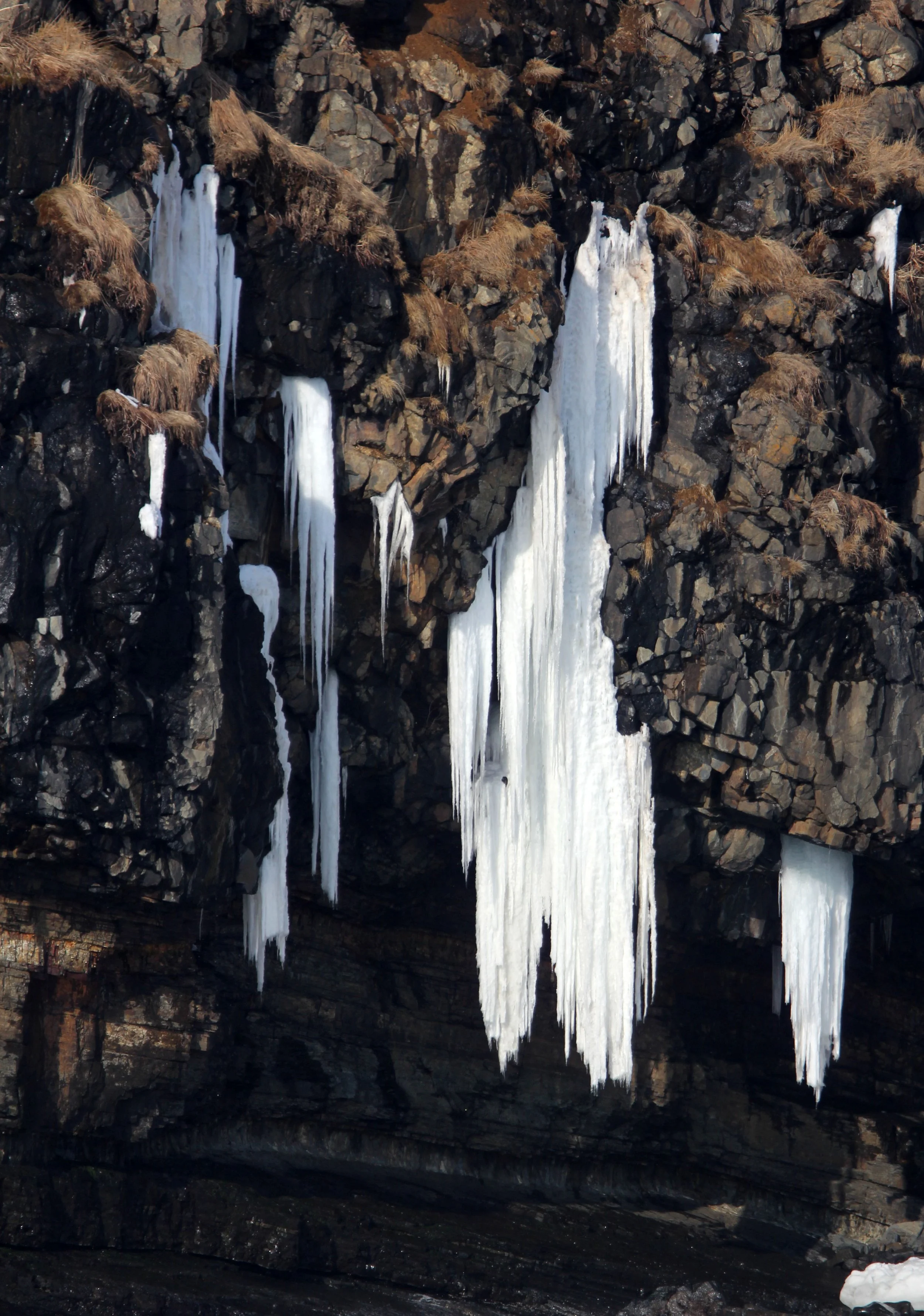 HANASAKI CAPE - NEMURO PENINSULA - HOKKAIDO JAPAN (5).JPG