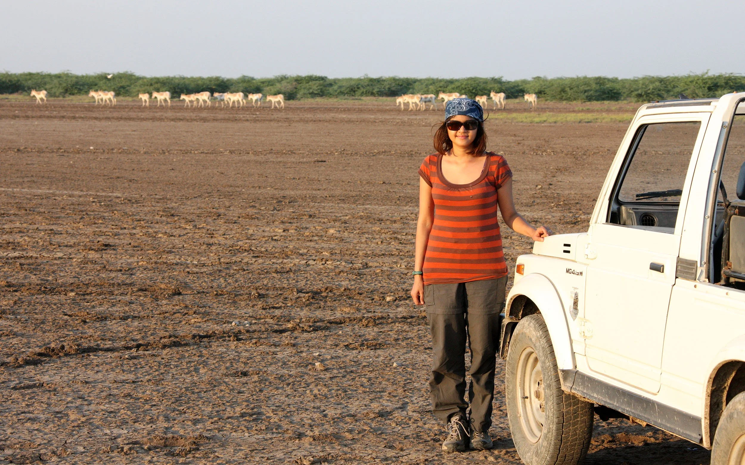 GUJARAT - KUTCH - LITTLE RANN OF KUTCH INDIA (75).JPG