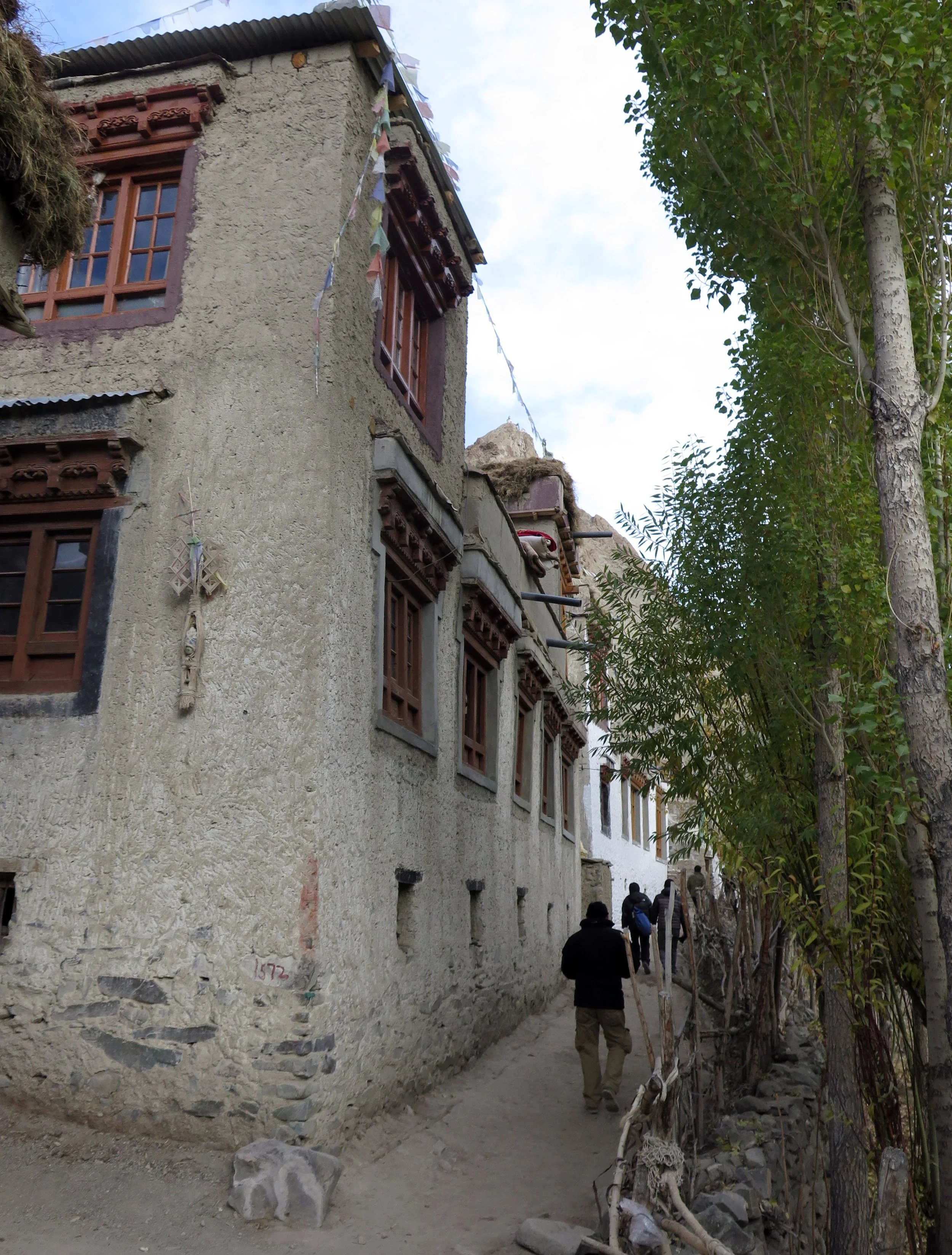 HEMIS NATIONAL PARK - LADAKH INDIA - JAMMU & KASHMIR NEAR RUMBAK VILLAGE (665).JPG
