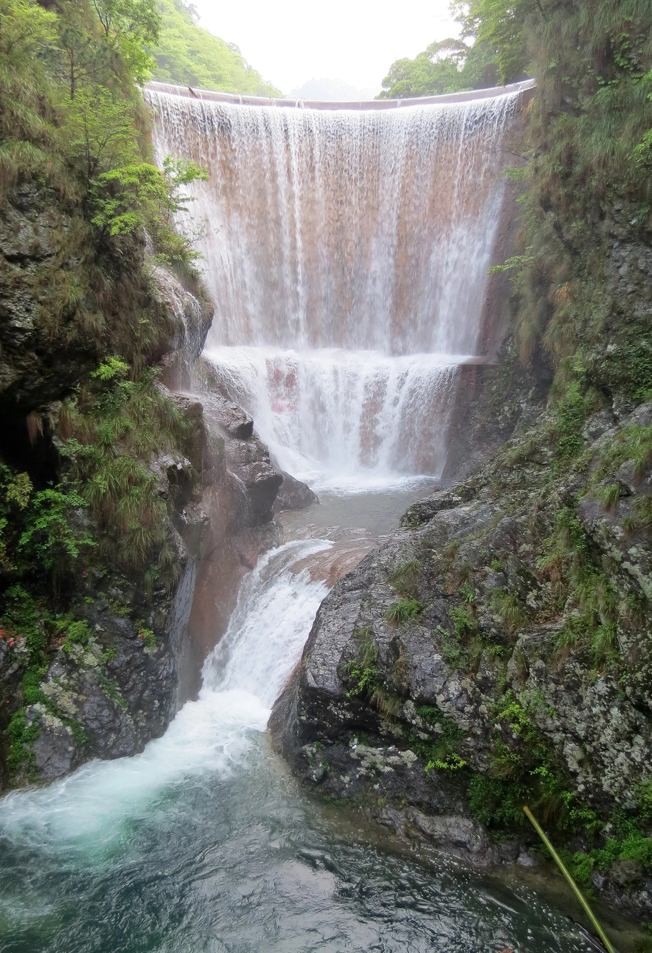 GUNIUJIANG NATURE RESERVE - ANHUI PROVINCE CHINA (39).JPG