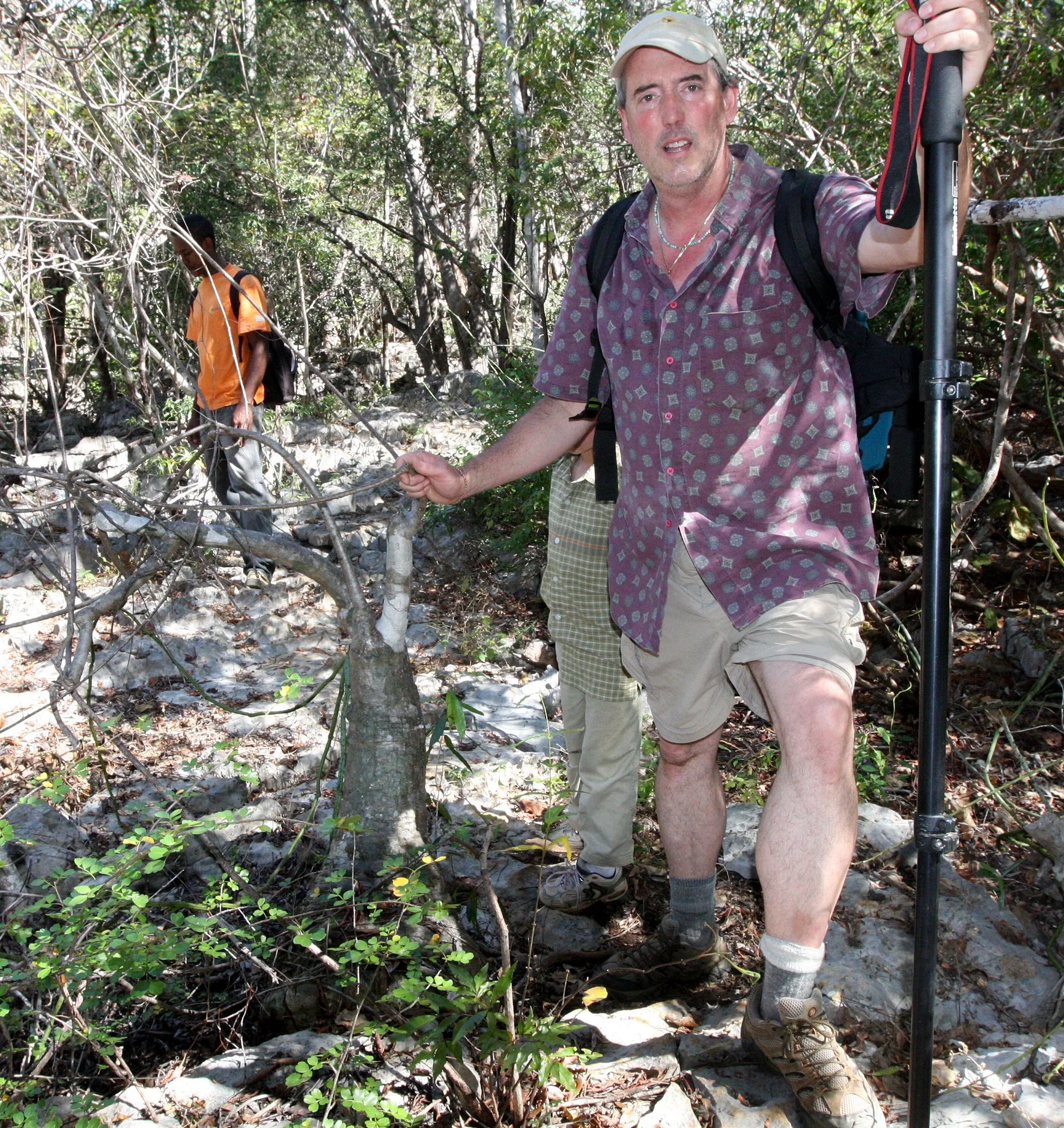 PLANT - ADENIA EPIGEA - ANKARANA NATIONAL PARK MADAGASCAR (3).JPG