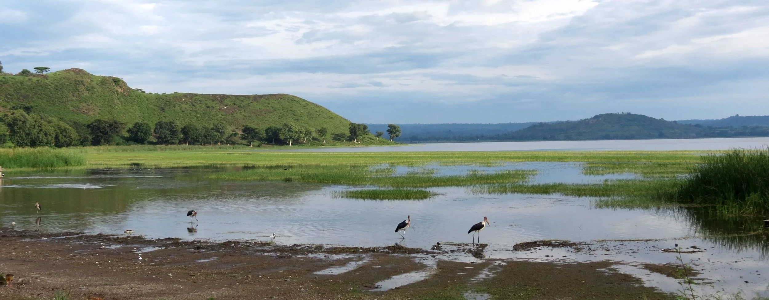 LAKE AWASSA ETHIOPIA (1).JPG