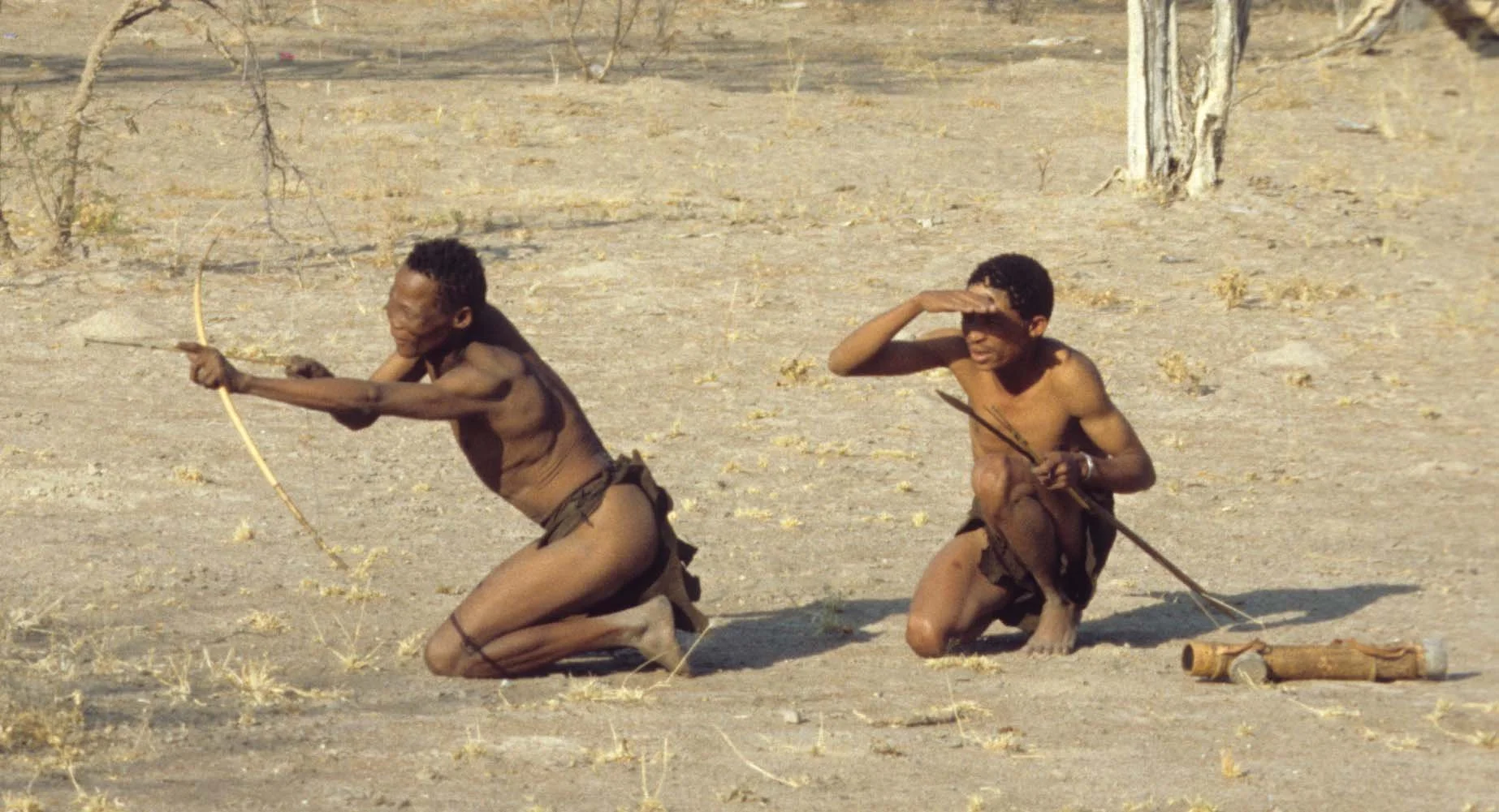 NAMIB DESERT BUSH 3B.jpg