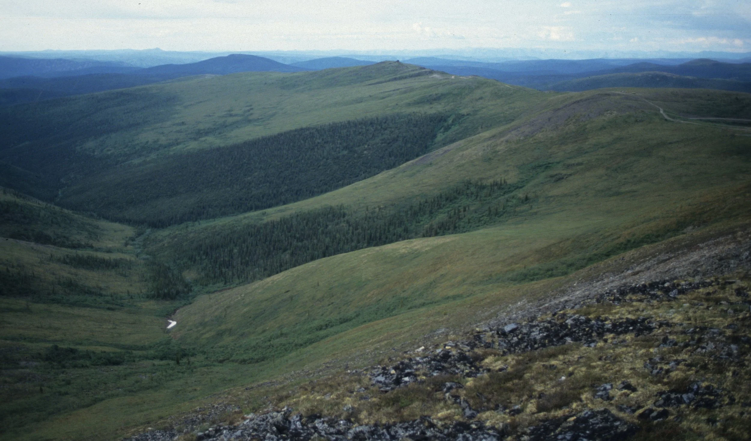 ALASKA - RICHARDSON HIGHWAY - TUNDRA AND TAIGA MIX.jpg