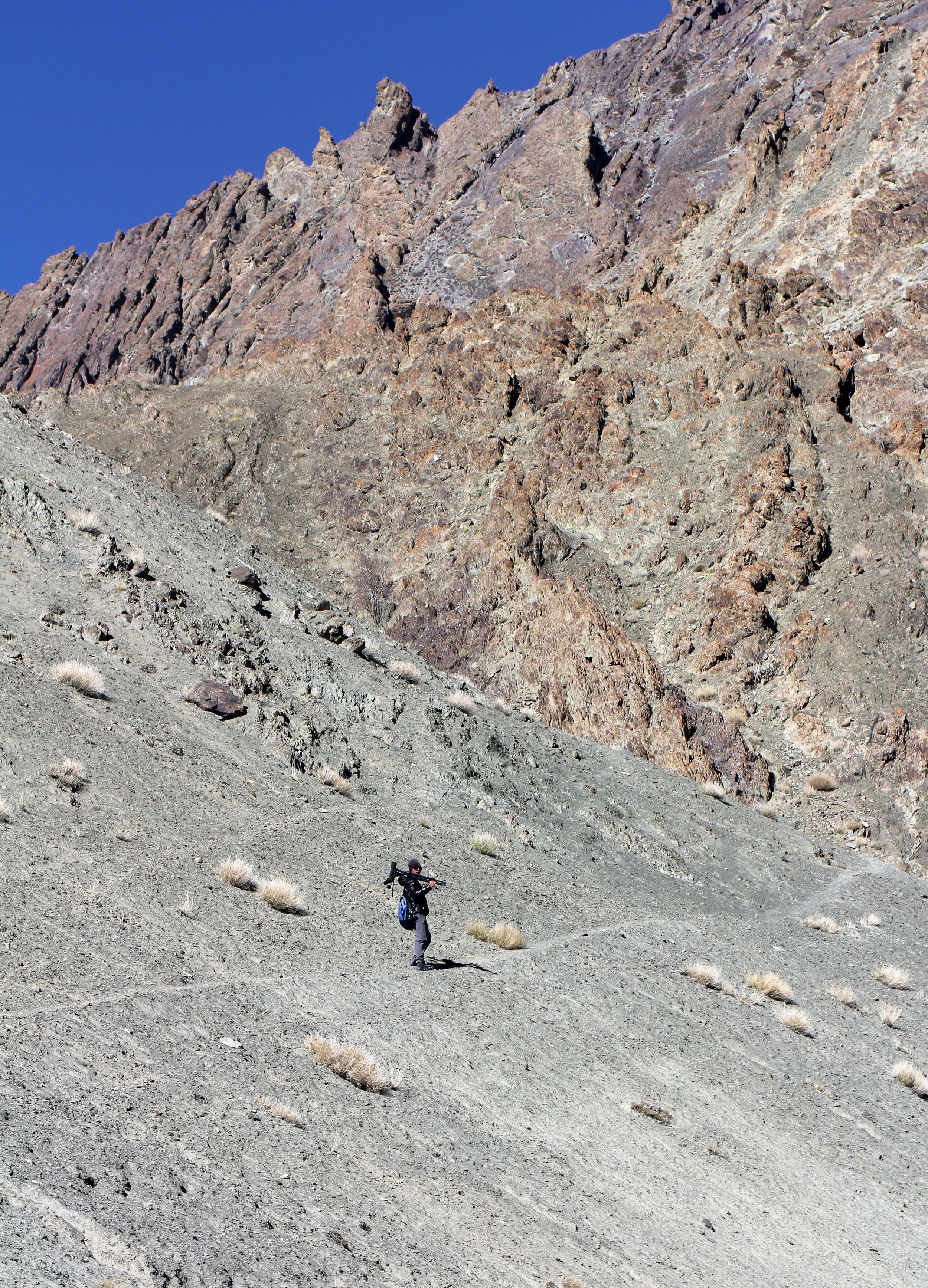 HEMIS NATIONAL PARK - LADAKH INDIA - JAMMU & KASHMIR NEAR RUMBAK VILLAGE (222).JPG