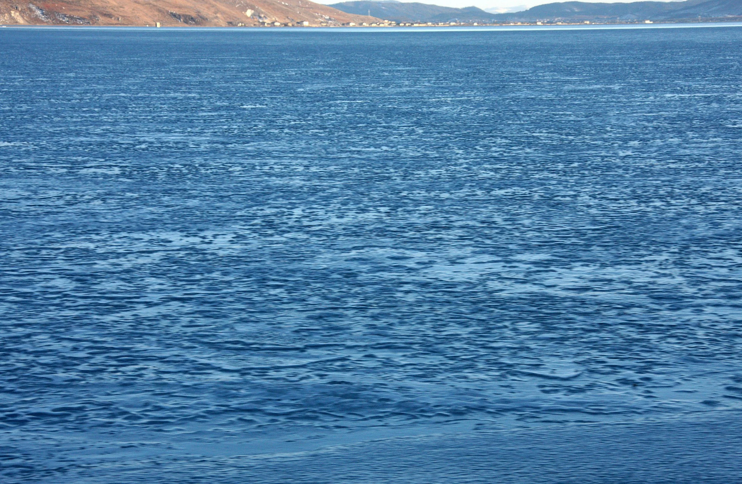 YUNNAN - NAPAHAI LAKE - WINTER 2011 (6).JPG