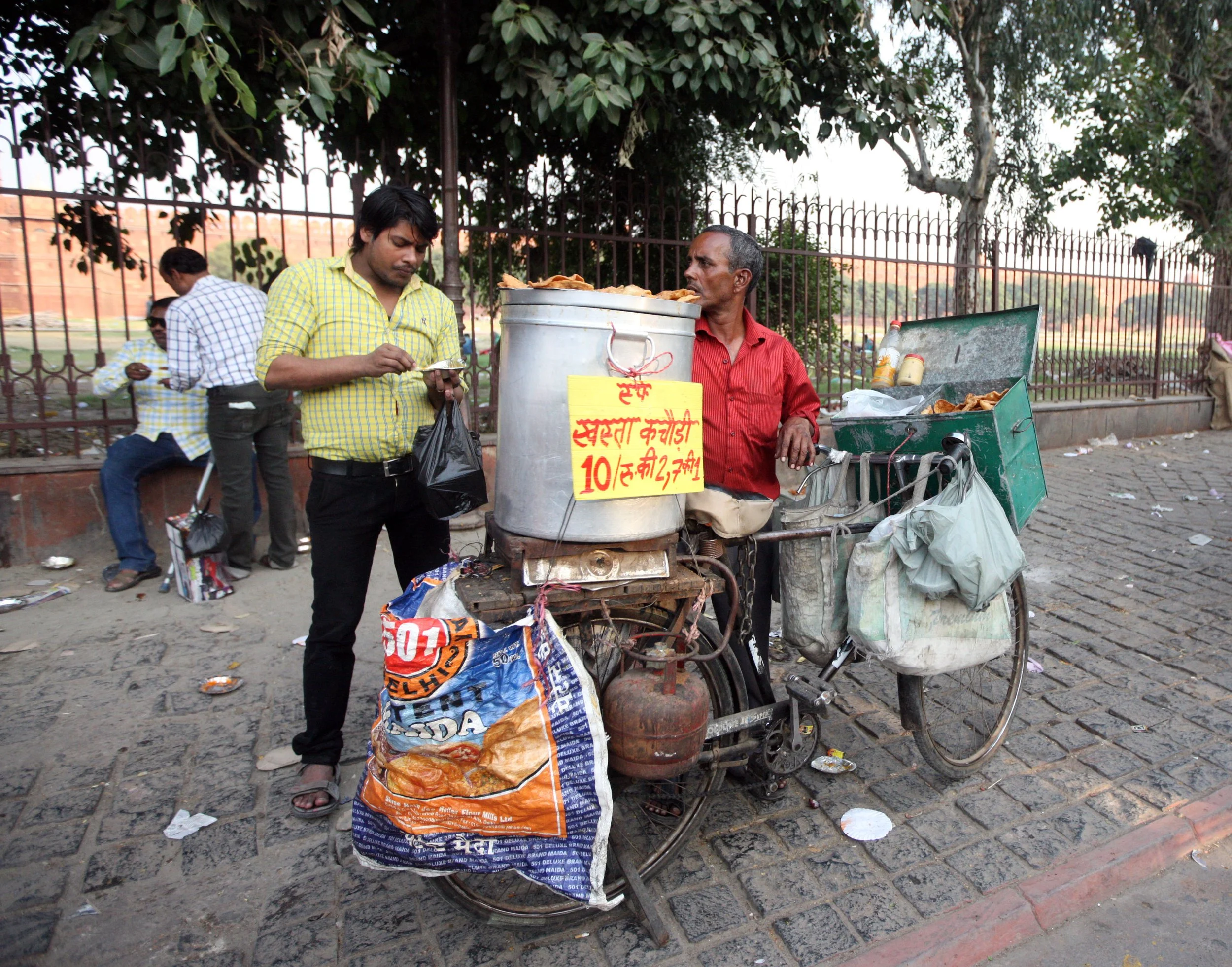 OLD DELHI INDIA - SNOW LEOPARD TRIP 2014 (58).JPG