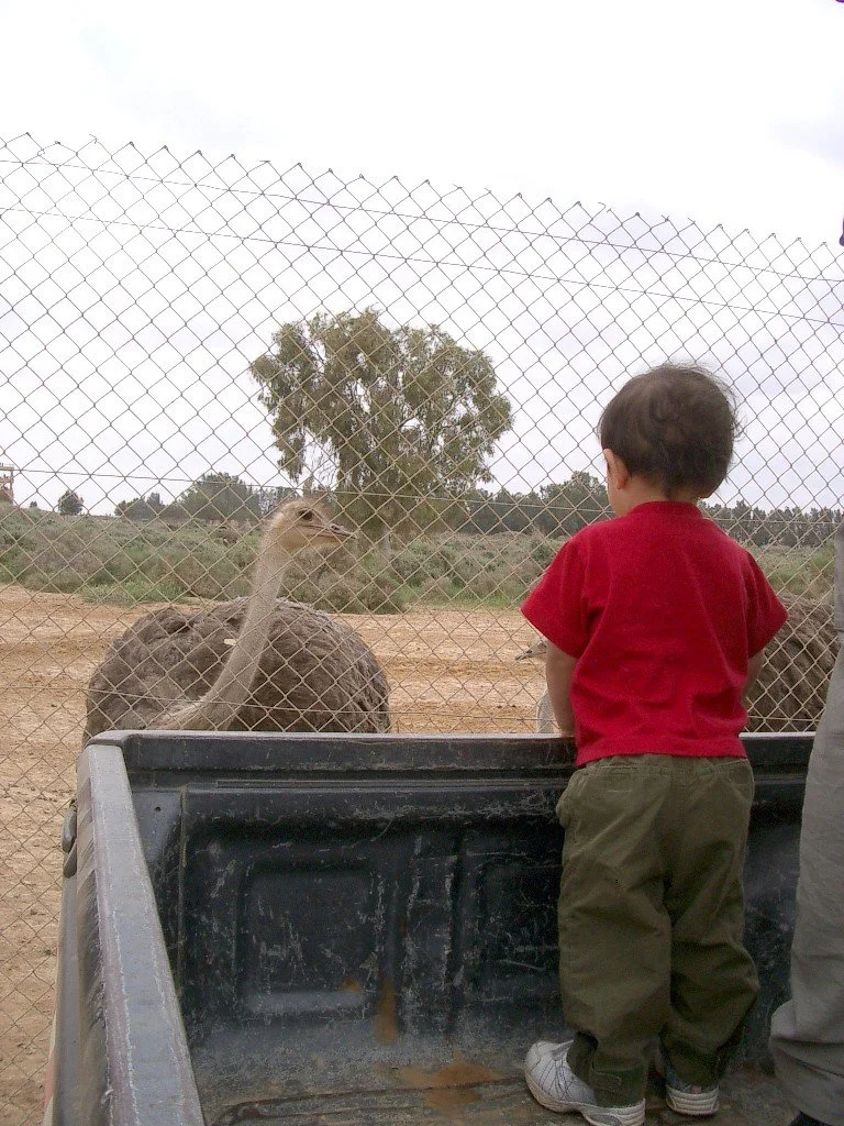 SHAUMARI CAPTIVE BREEDING CENTER (10).JPG