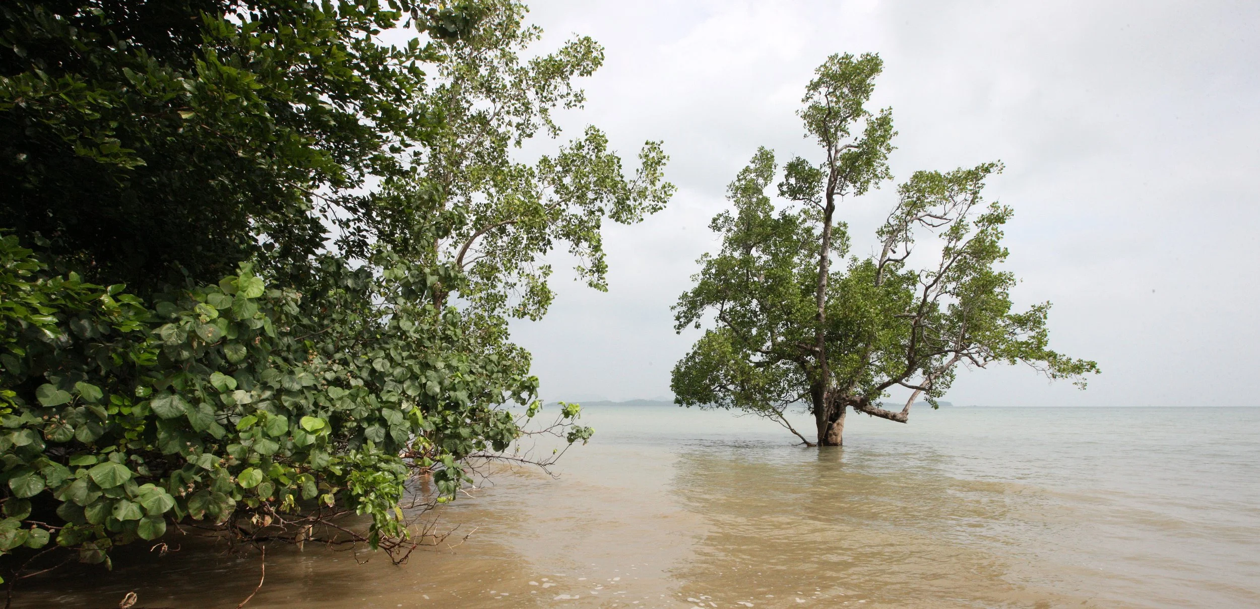 LANTA ISLAND - OUR PROPERTY - WINTER 2011 (32).JPG