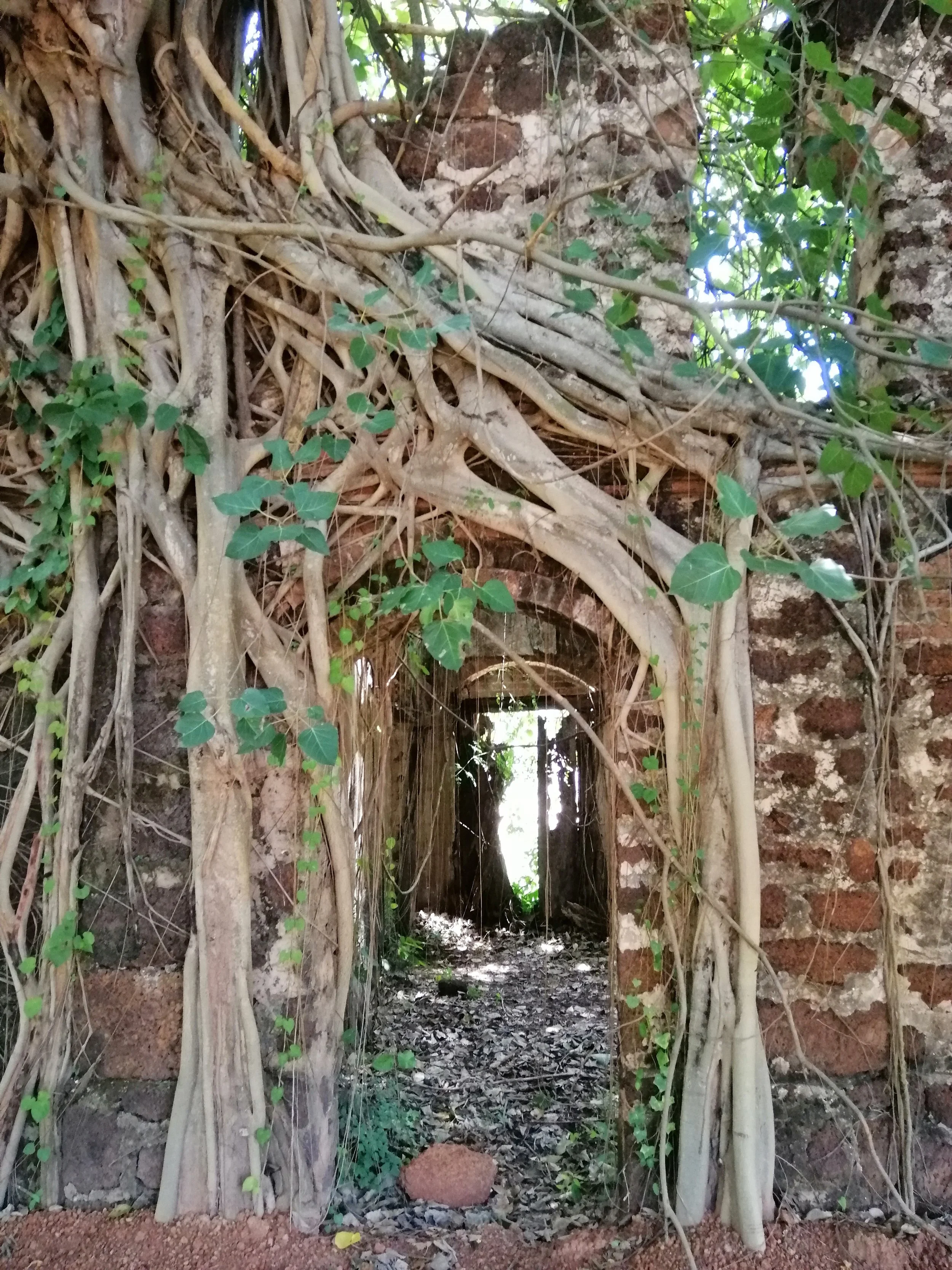 2019 Sakhon Nakhon Sakhon Nakhon Tha Rae Village Old Town Summer Road Trip (61).jpg