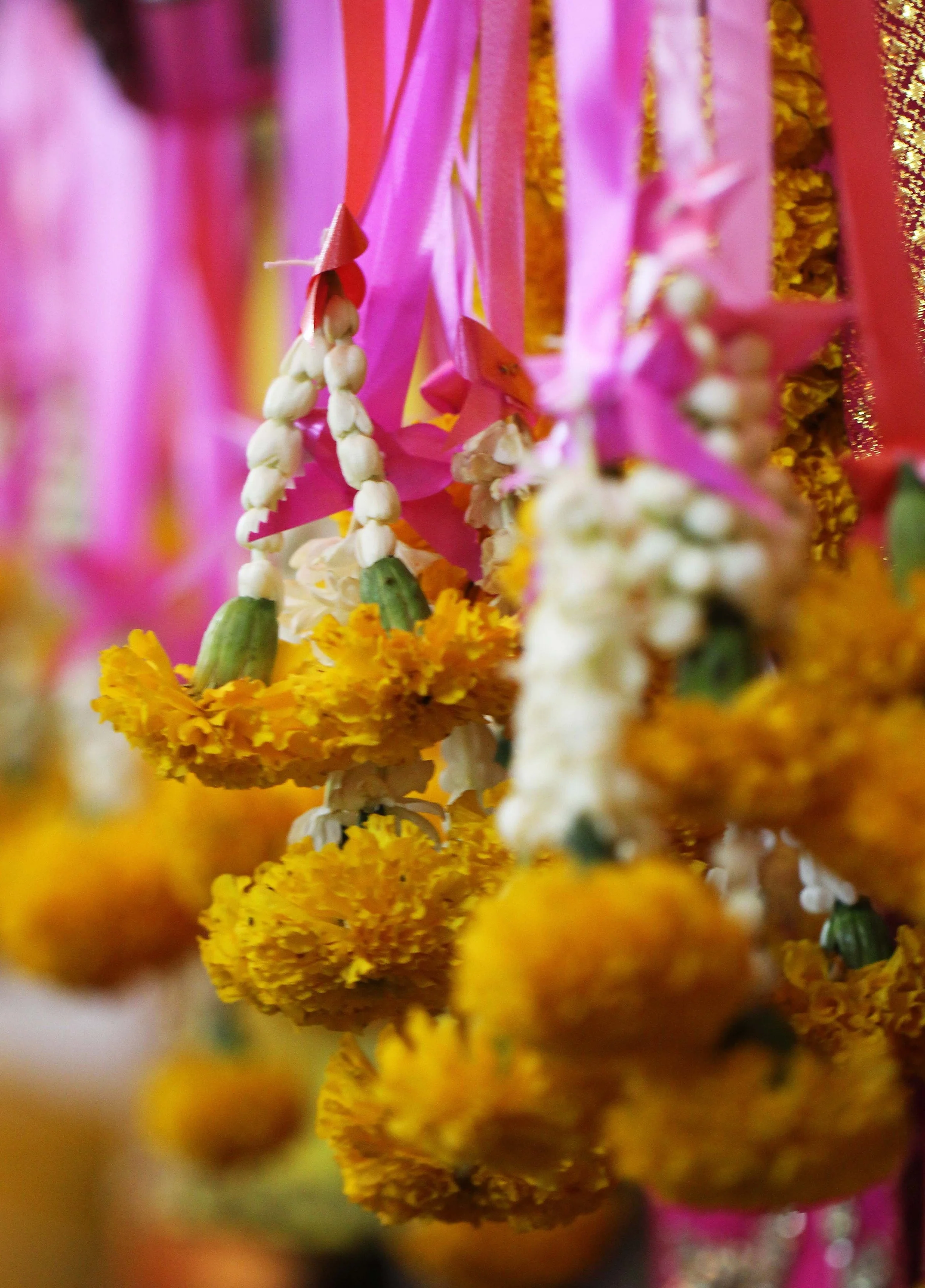 2013 in Nakhonsithammarat and some Krabi with Family (153).JPG