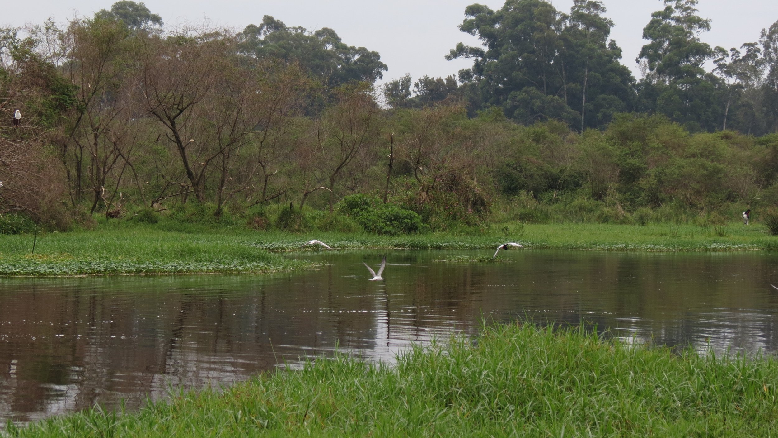 LAKE AWASSA ETHIOPIA (15).JPG