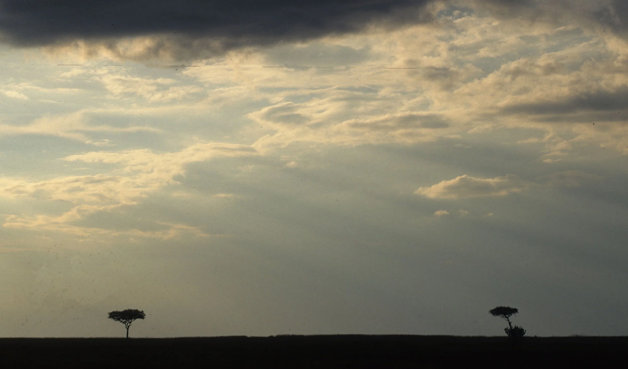 SERENGETI - SUNSET A.jpg