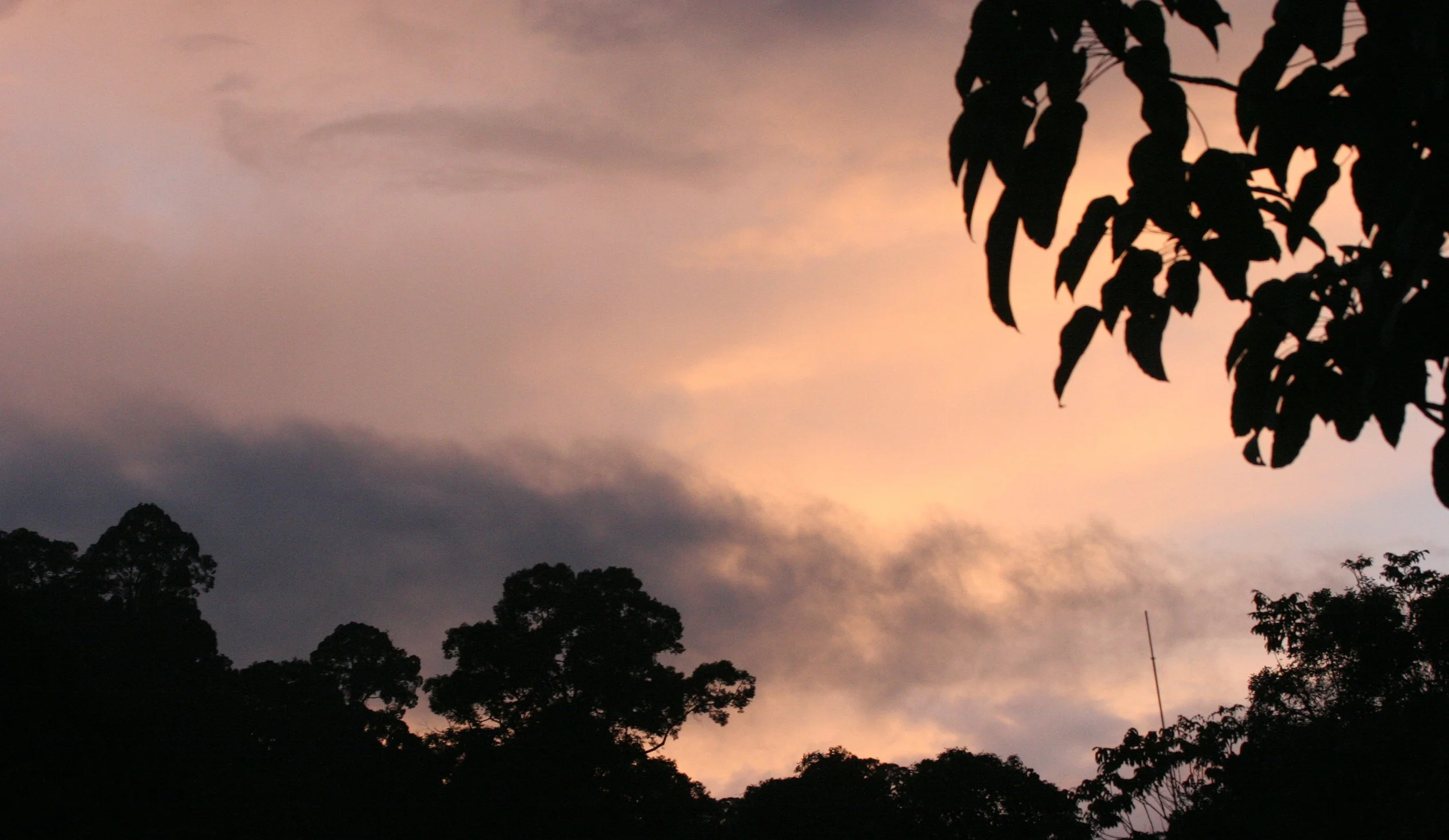 DANUM VALLEY BORNEO - SUNSET (2).JPG