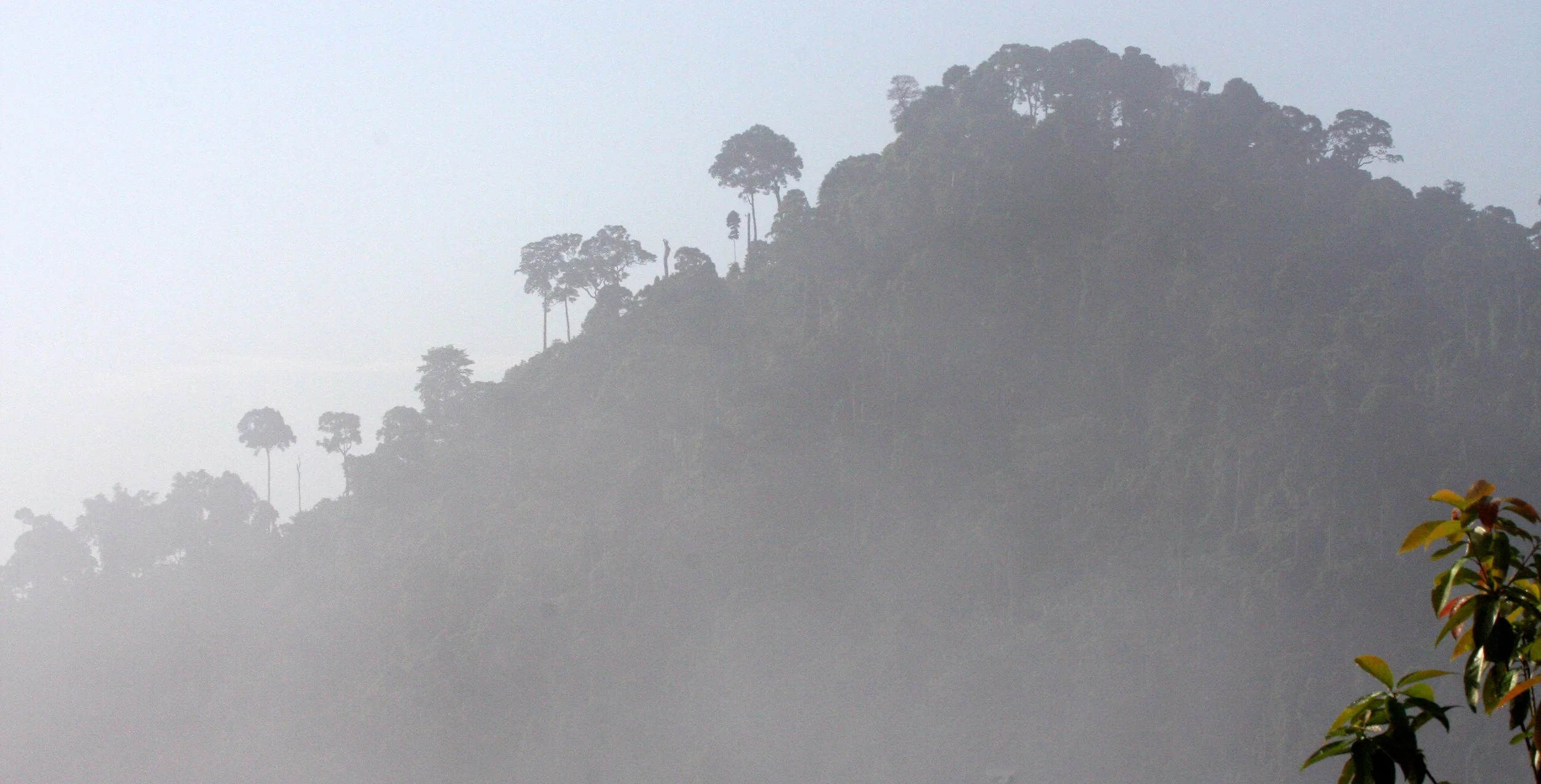 KRUNG CHIN NP - THALE MOG VIEW POINT THAILAND (14).JPG