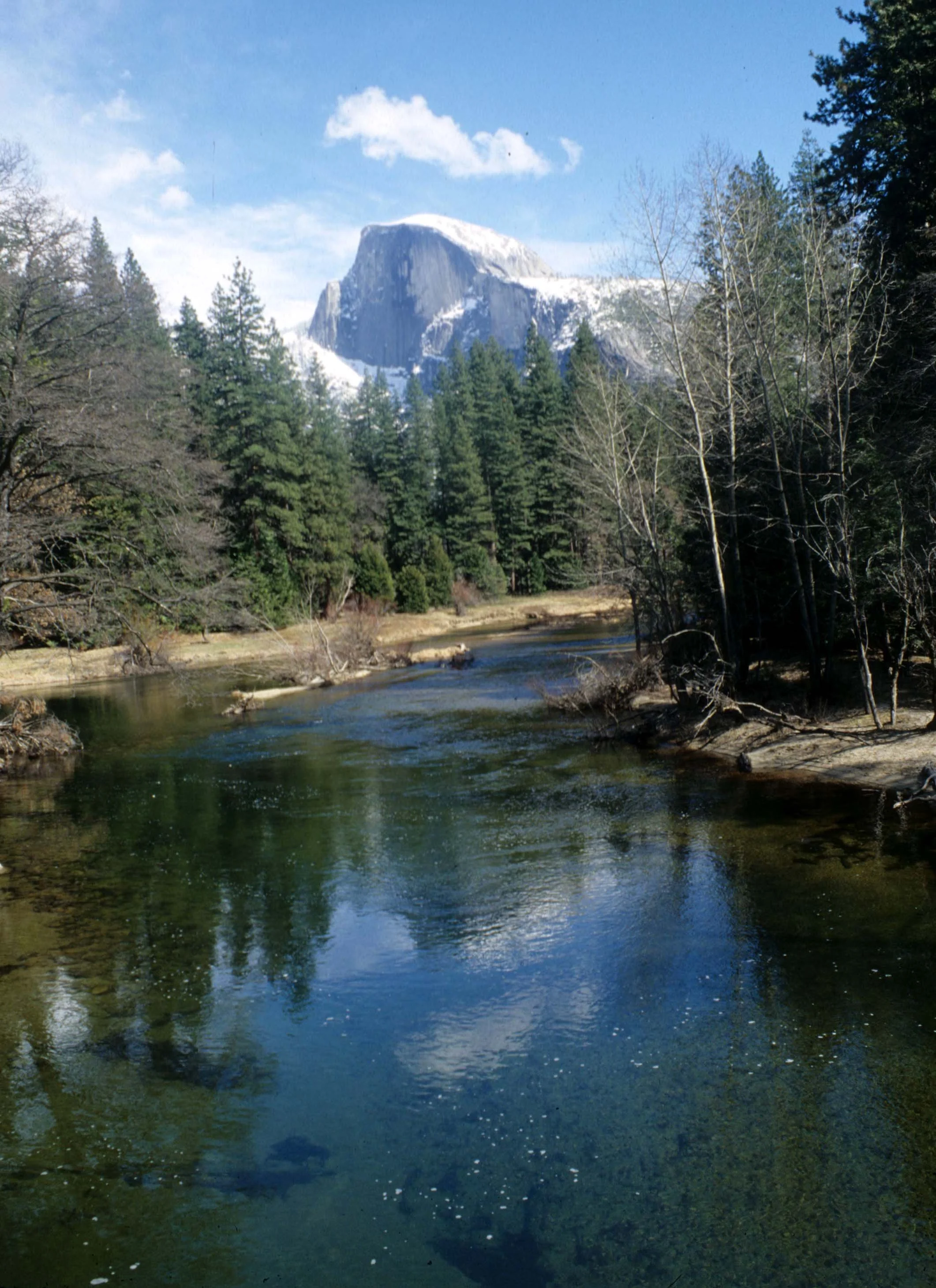 CALIFORNIA - YOSEMITE NP  (12).jpg
