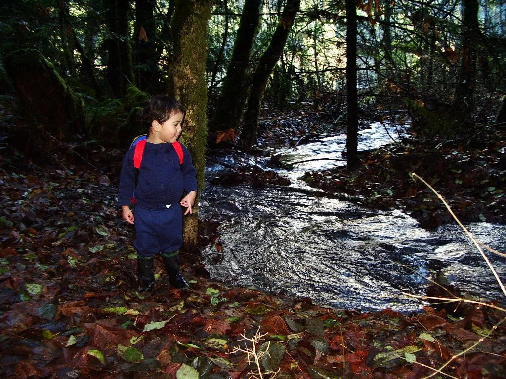 2004-11-18 HIKE WITH COKIE IN THE FOREST (5).JPG