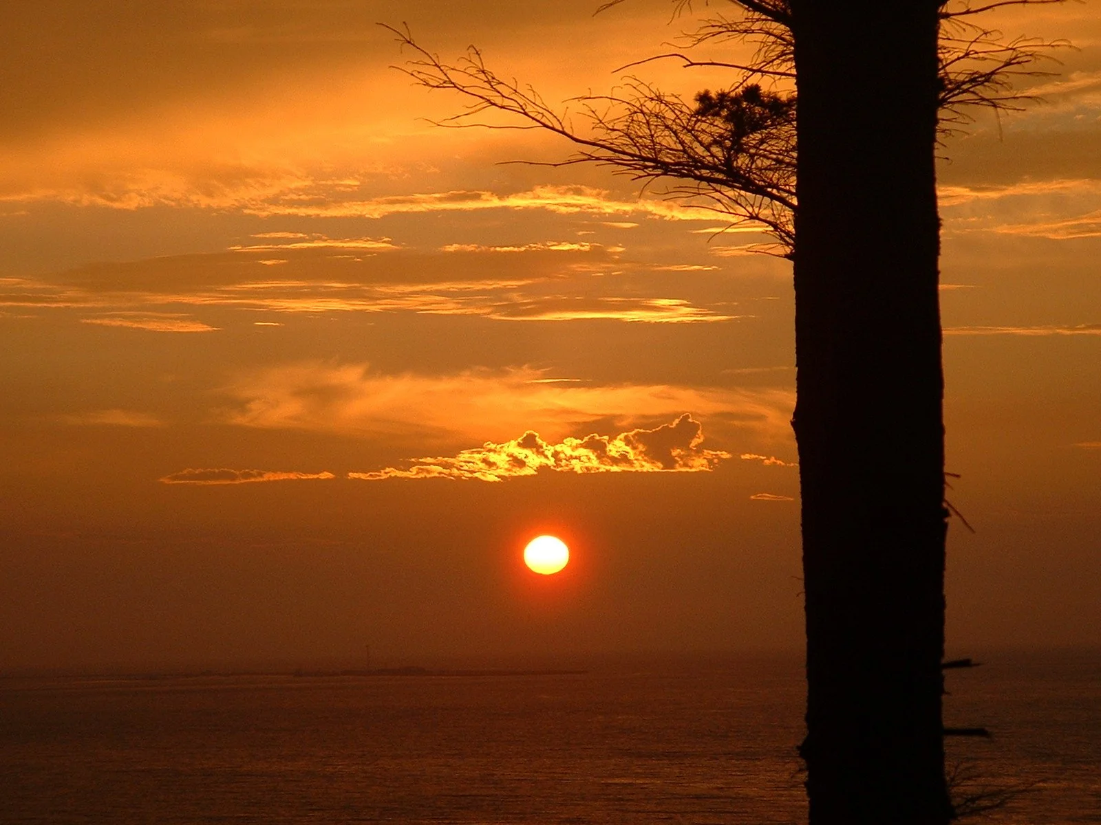 2003-8-1 WASHINGTON VISIT FROM ROBINSONS ET AL (136).JPG