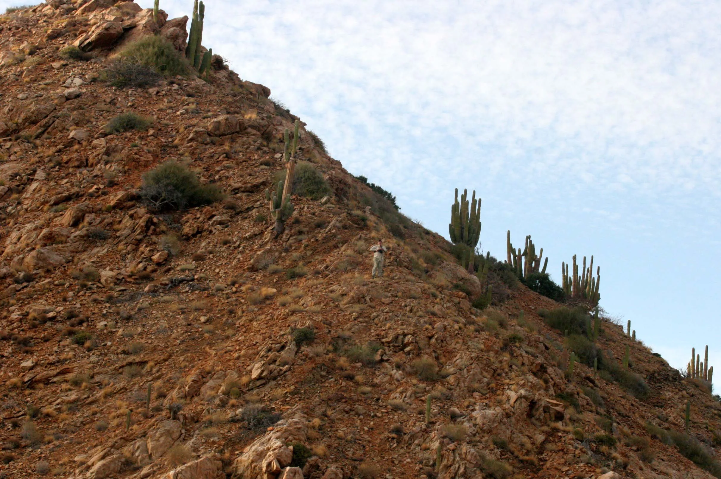 ISLA SANTA CATALINA BAJA MEXICO - DAD CLIMBING THE HILLS.JPG